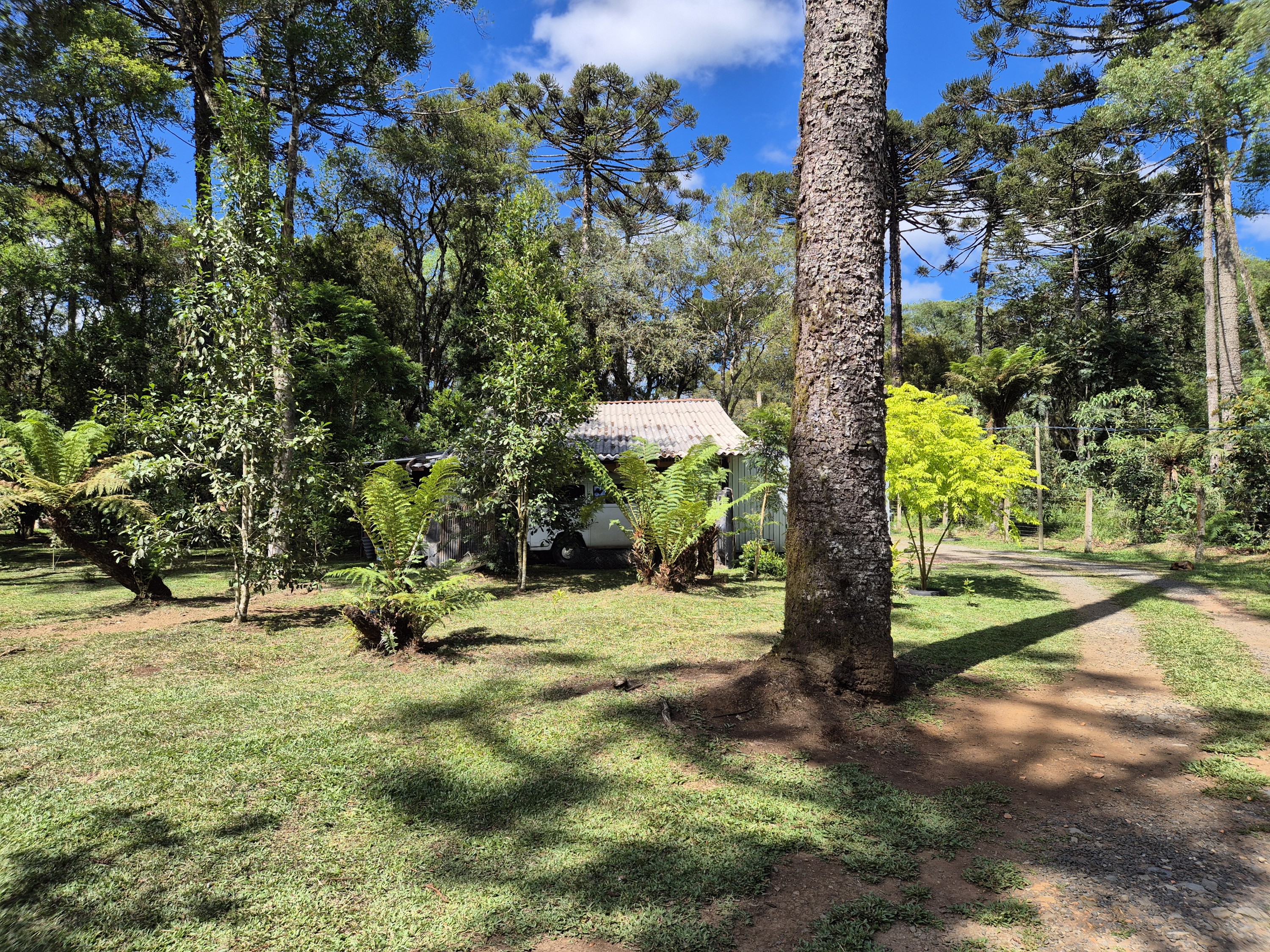 Imagem do A VENDA -ACEITA TROCA POR CASA EM CANOINHAS - 4.400 M2 - CASA 115 M2 ALVENARIA