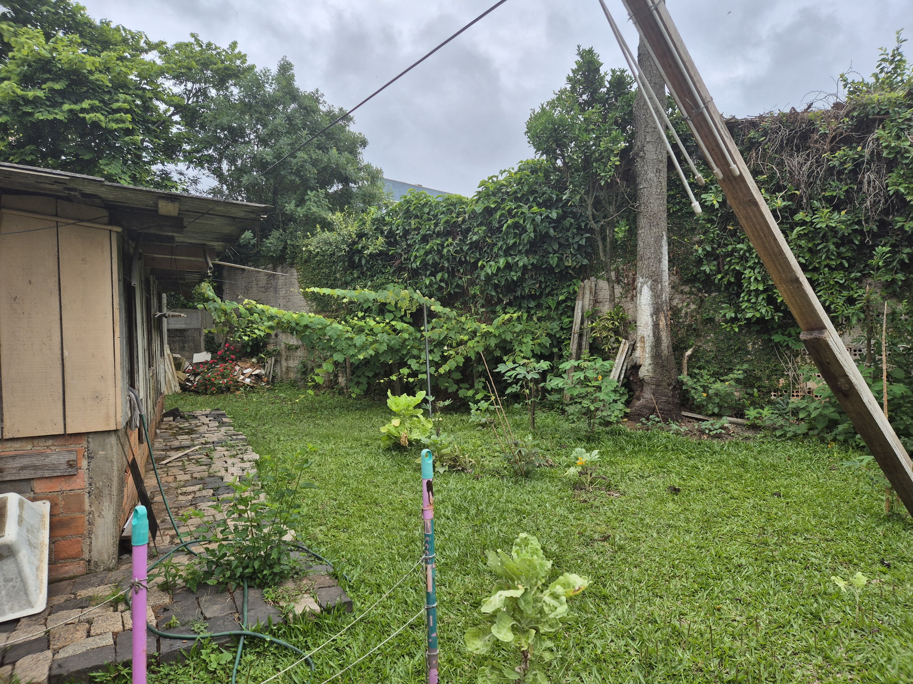 Imagem do A VENDA - Casa mista com 91 m2 na Rua José Boiteux 426 - Centro da cidade