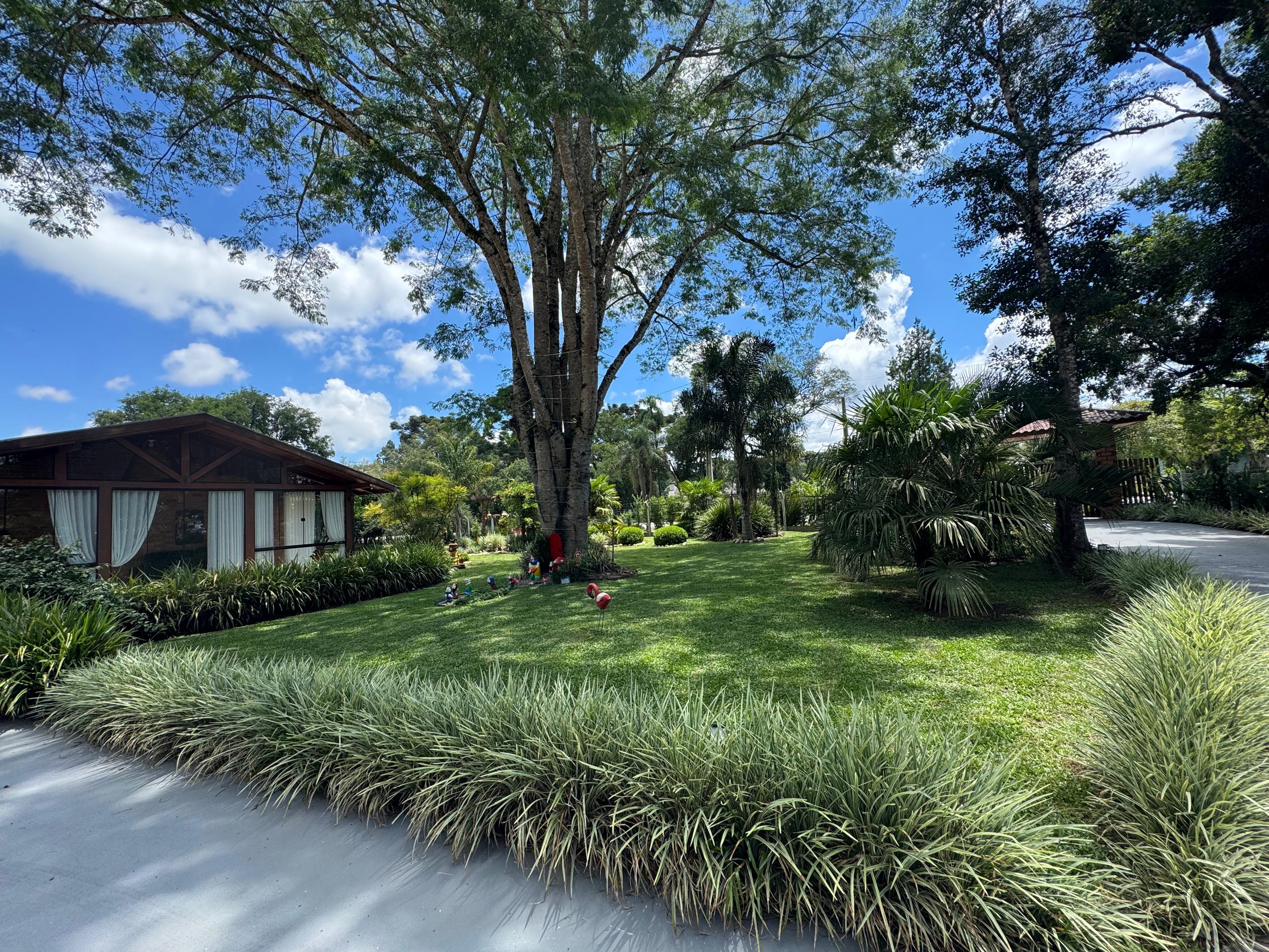 Imagem do Sitio na localidade de Forquilha - Canoinhas 