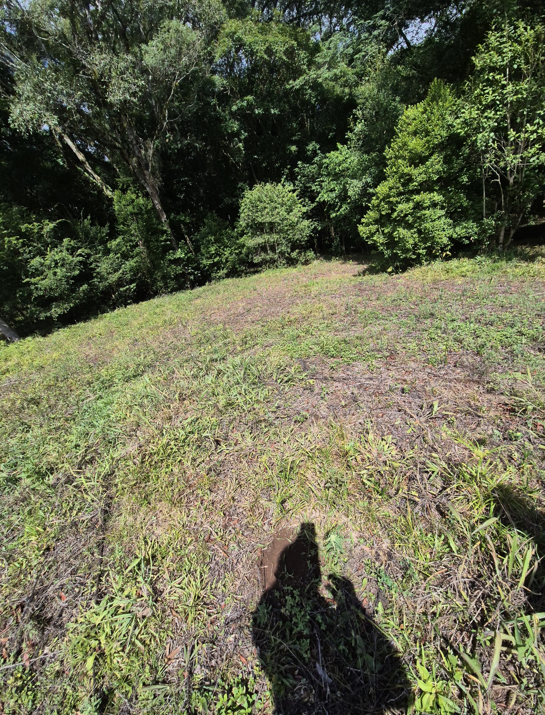 Imagem do Sitio com 4.000 m2 de área e casa em Alvenaria com piscina