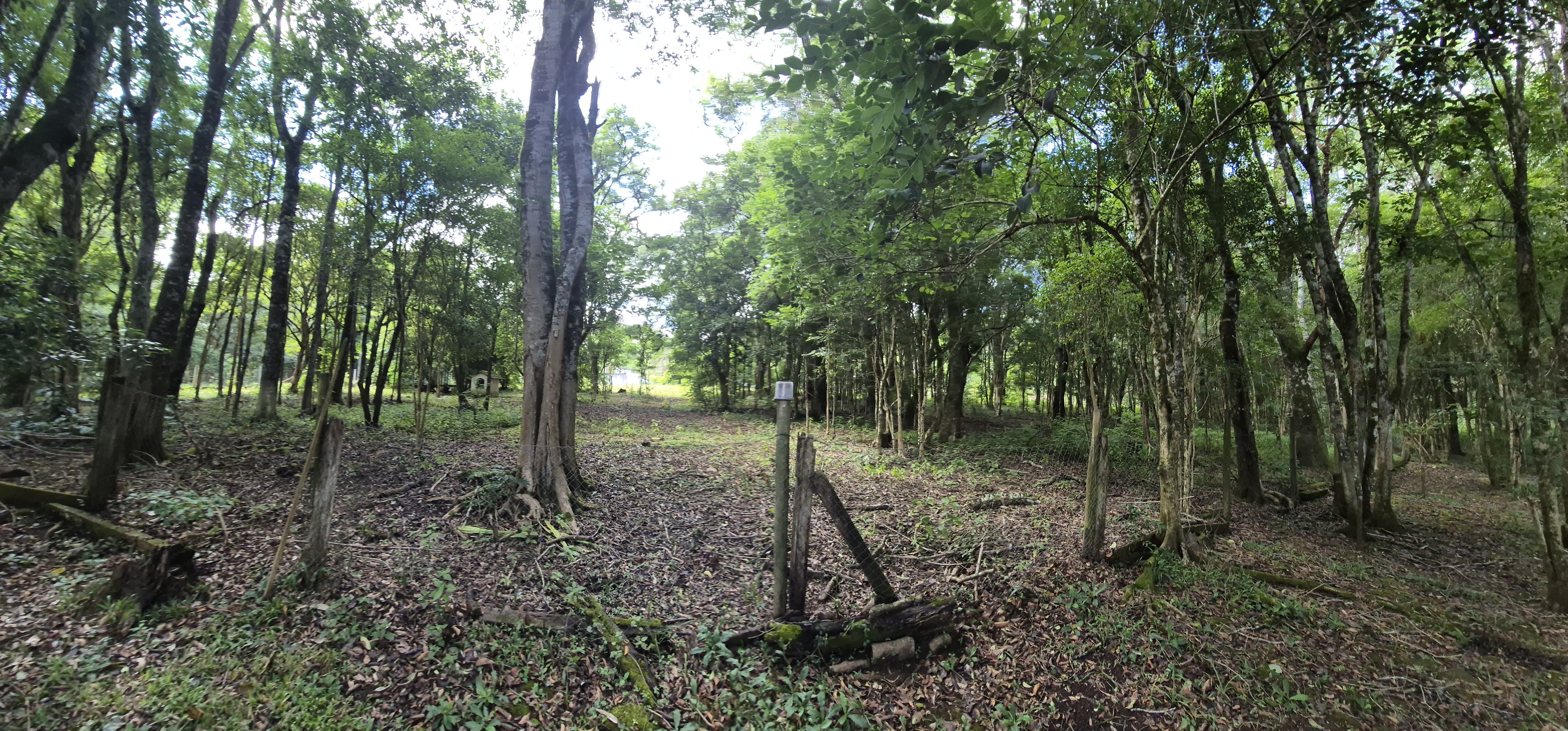 Imagem do Sitio com 4.000 m2 de área e casa em Alvenaria com piscina
