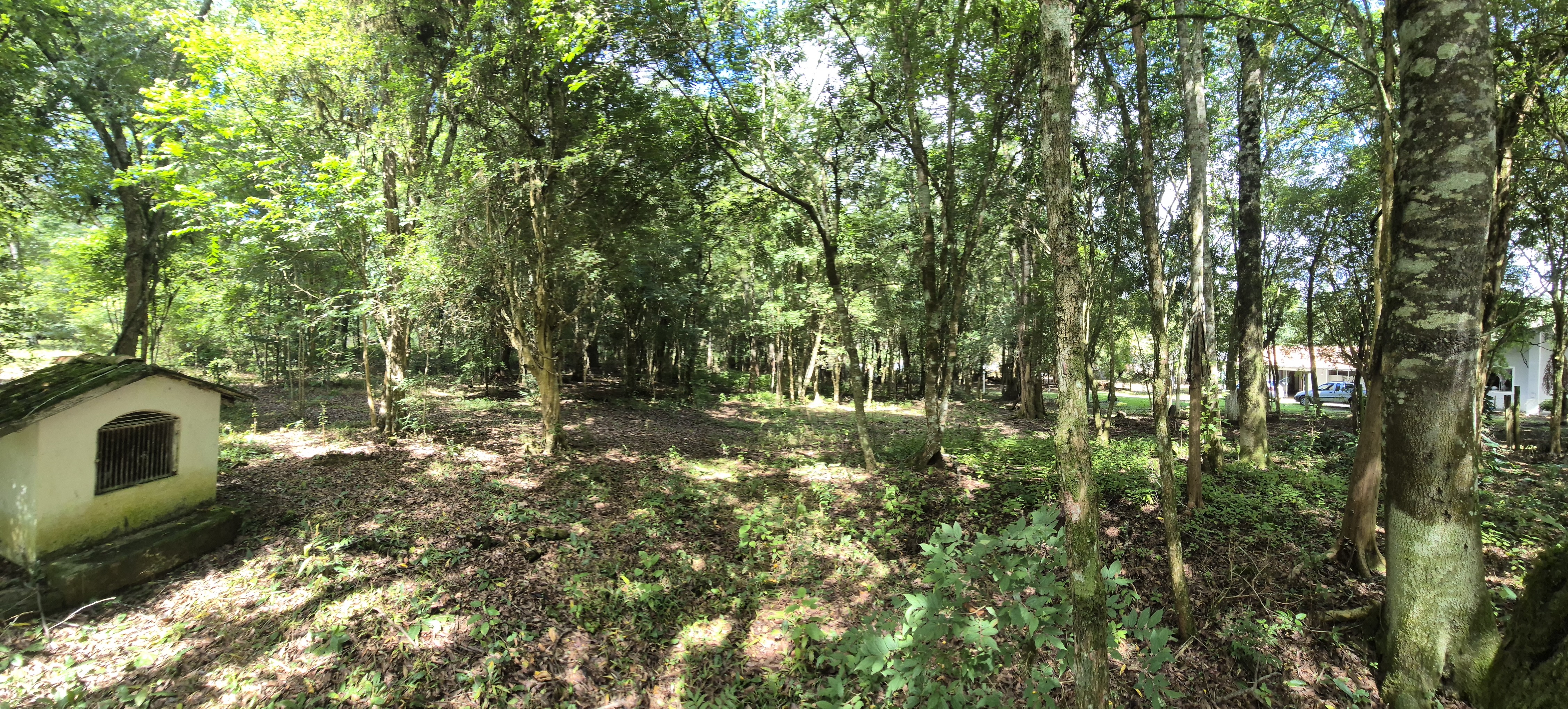 Imagem do Sitio com 4.000 m2 de área e casa em Alvenaria com piscina