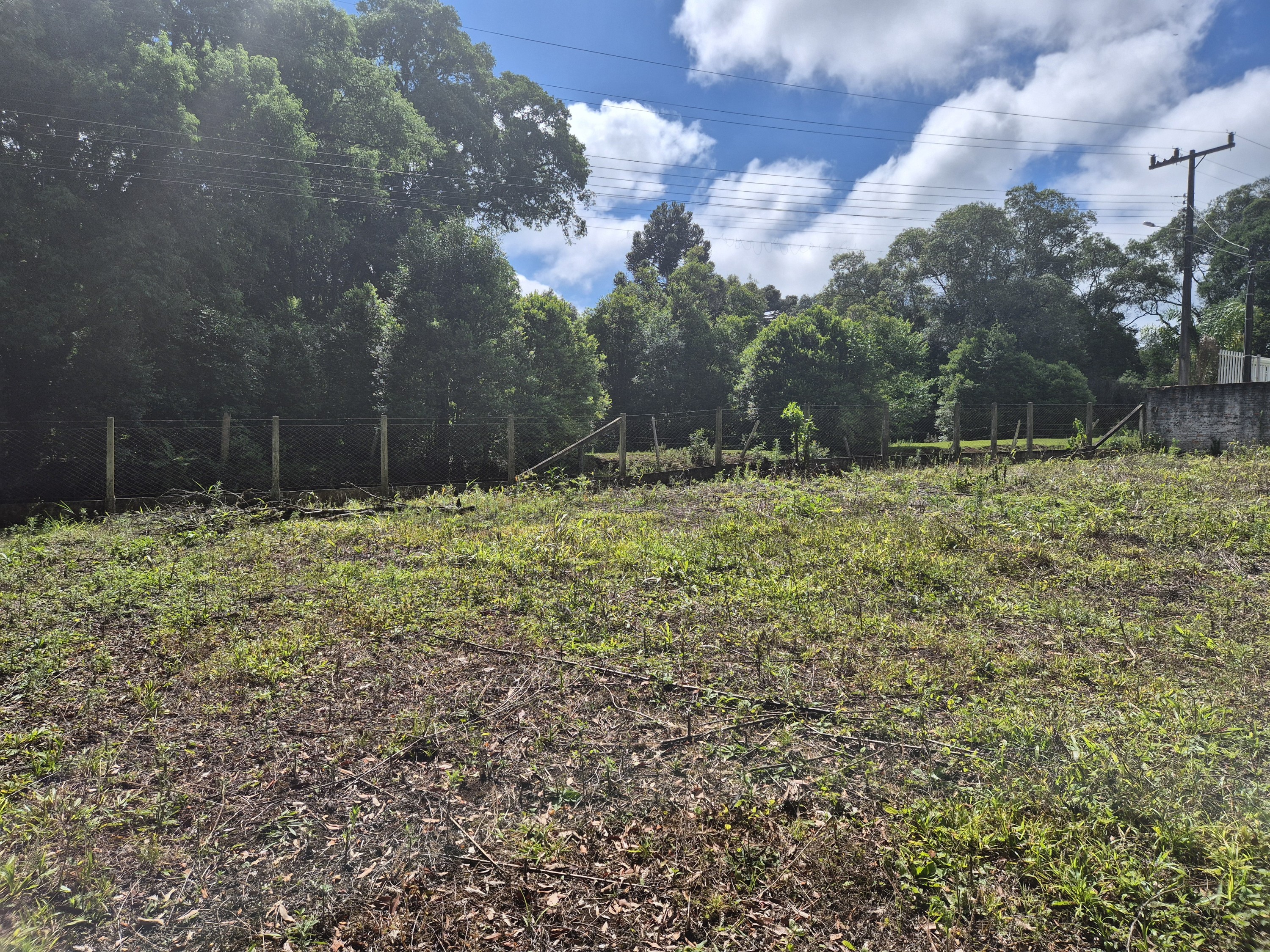 Imagem do Sitio com 4.000 m2 de área e casa em Alvenaria com piscina