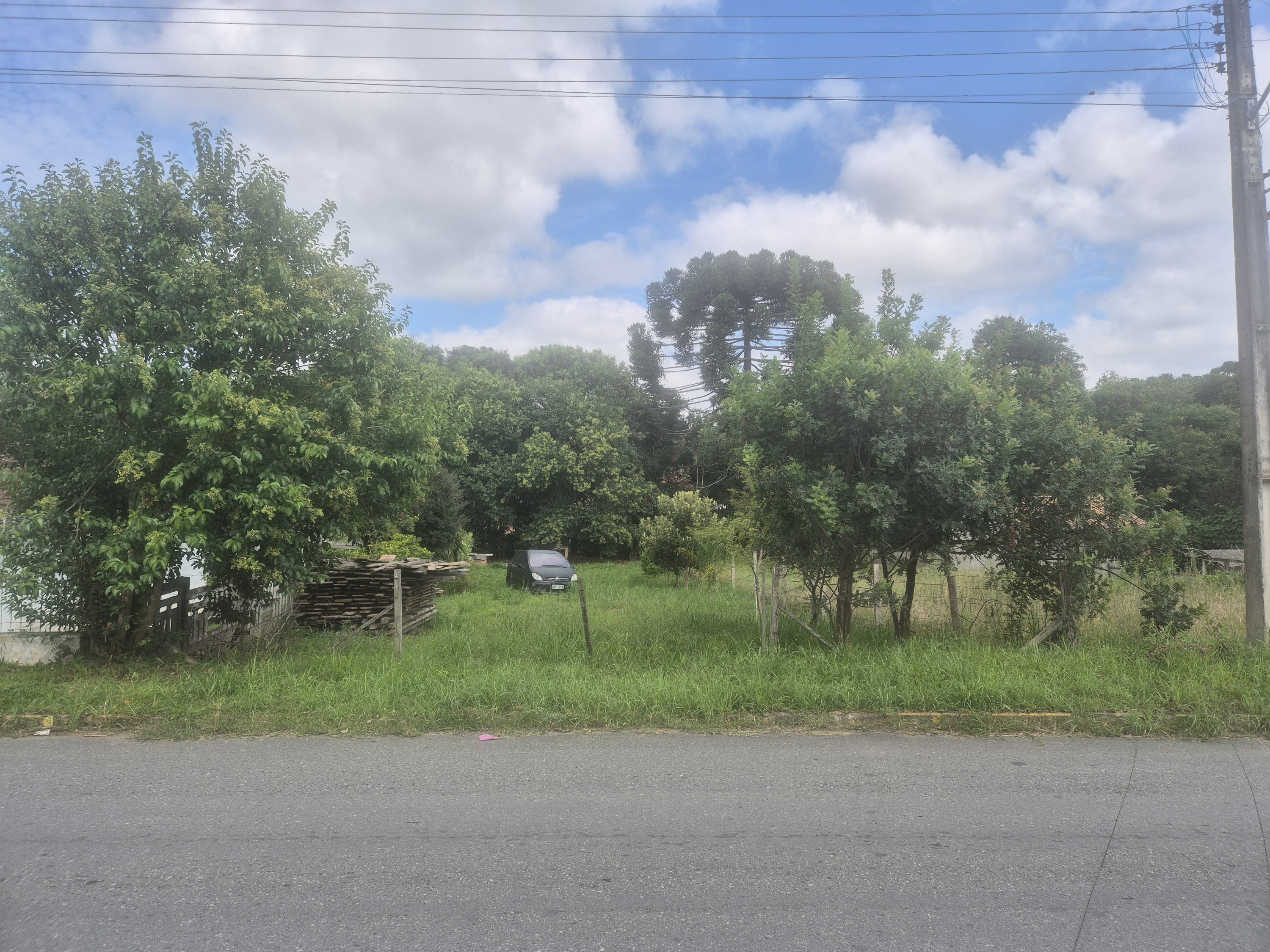 Imagem do A Venda - Lote com 512 m2 (13.5 Frente X 43,8 Fundos) frente asfaltada -Bairro  Piedade