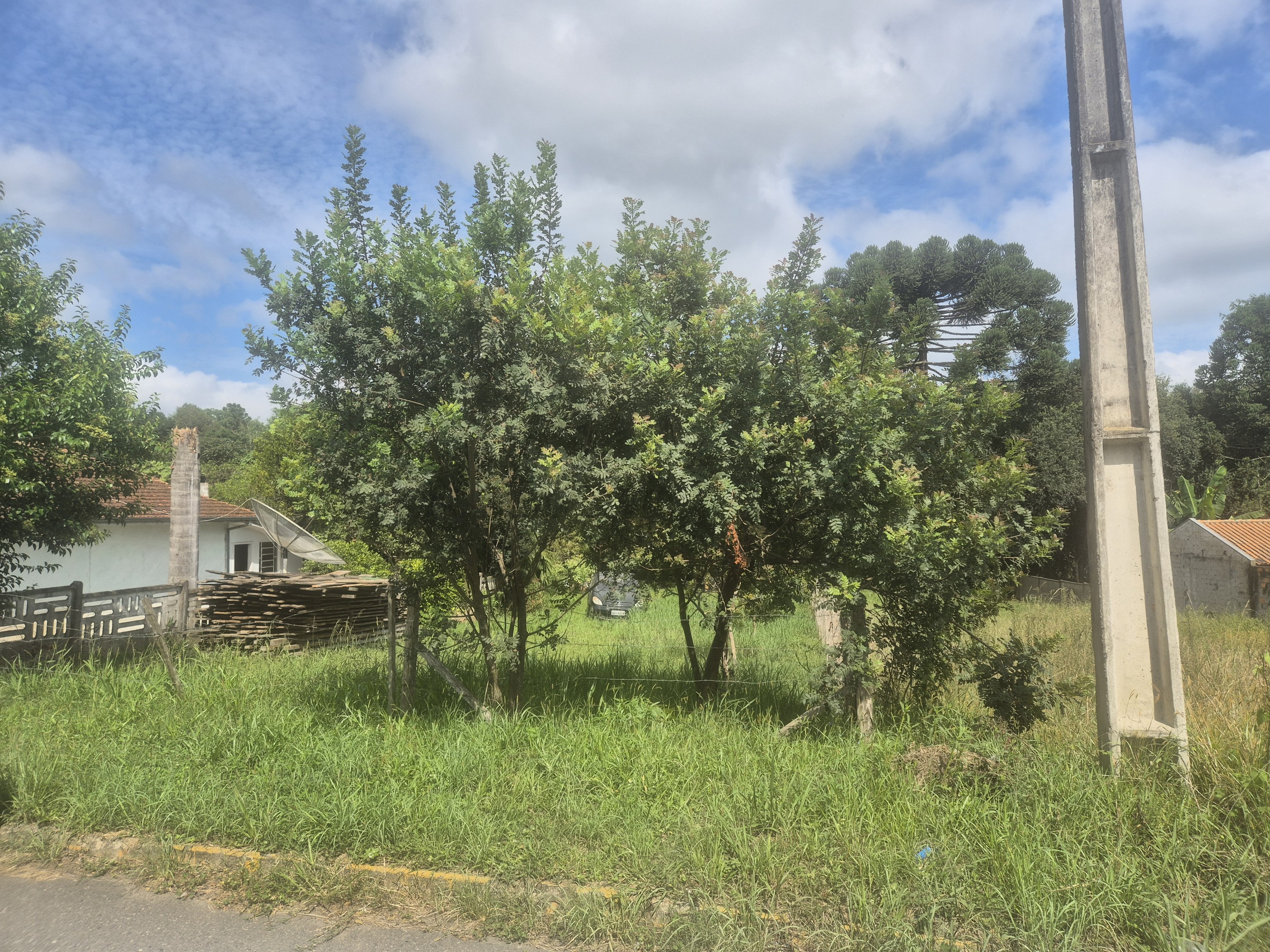 Imagem do A Venda - Lote com 512 m2 (13.5 Frente X 43,8 Fundos) frente asfaltada -Bairro  Piedade