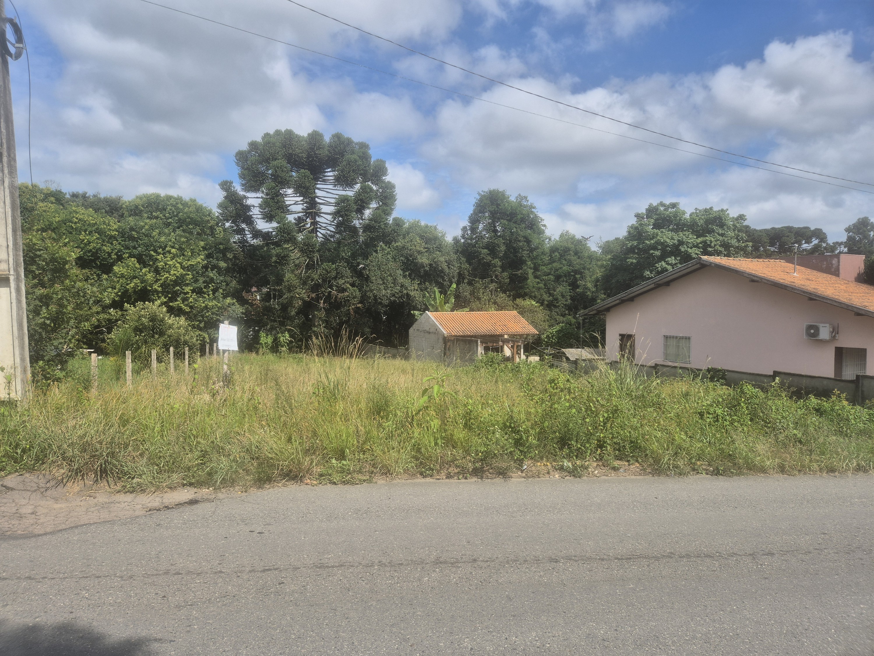 Imagem do A Venda - Lote com 512 m2 (13.5 Frente X 43,8 Fundos) frente asfaltada -Bairro  Piedade