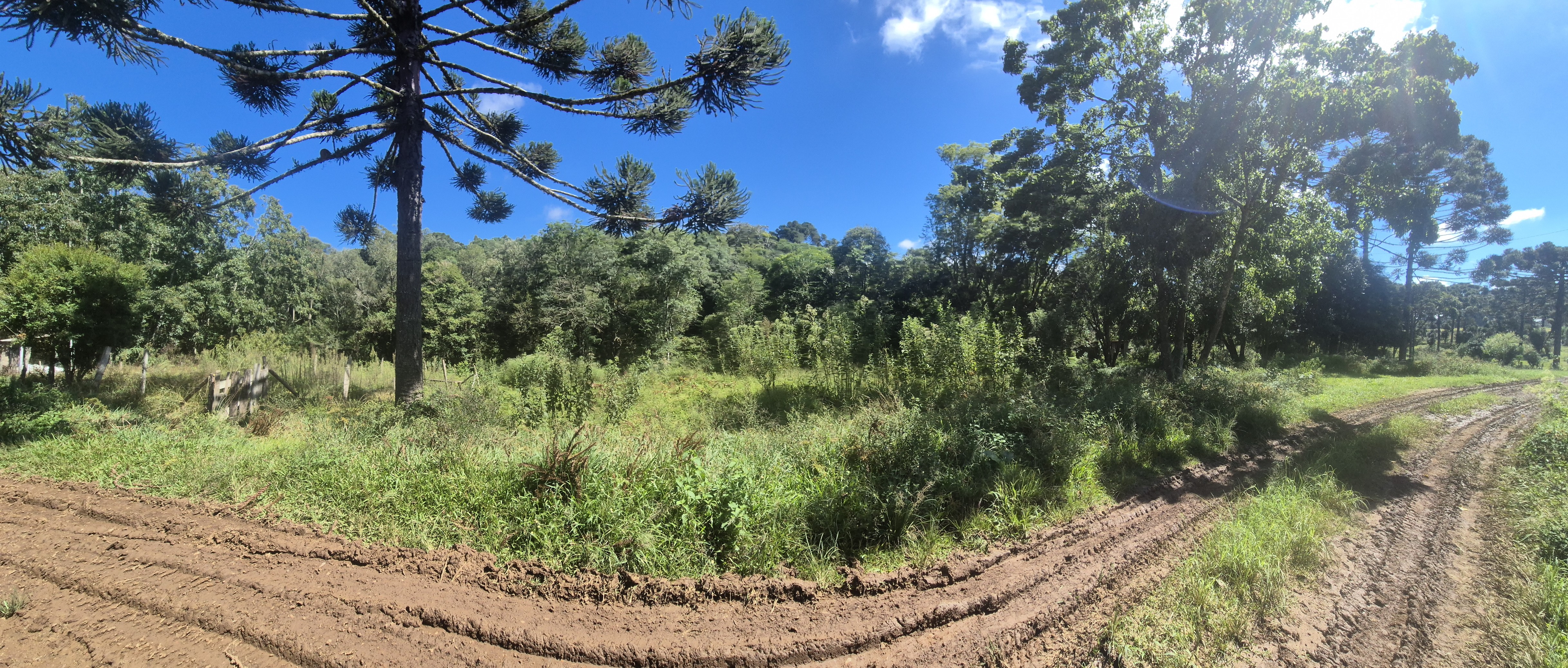 Imagem do Terreno Rural com 354.301,00 m2 - Rio da Veada Canoinhas
