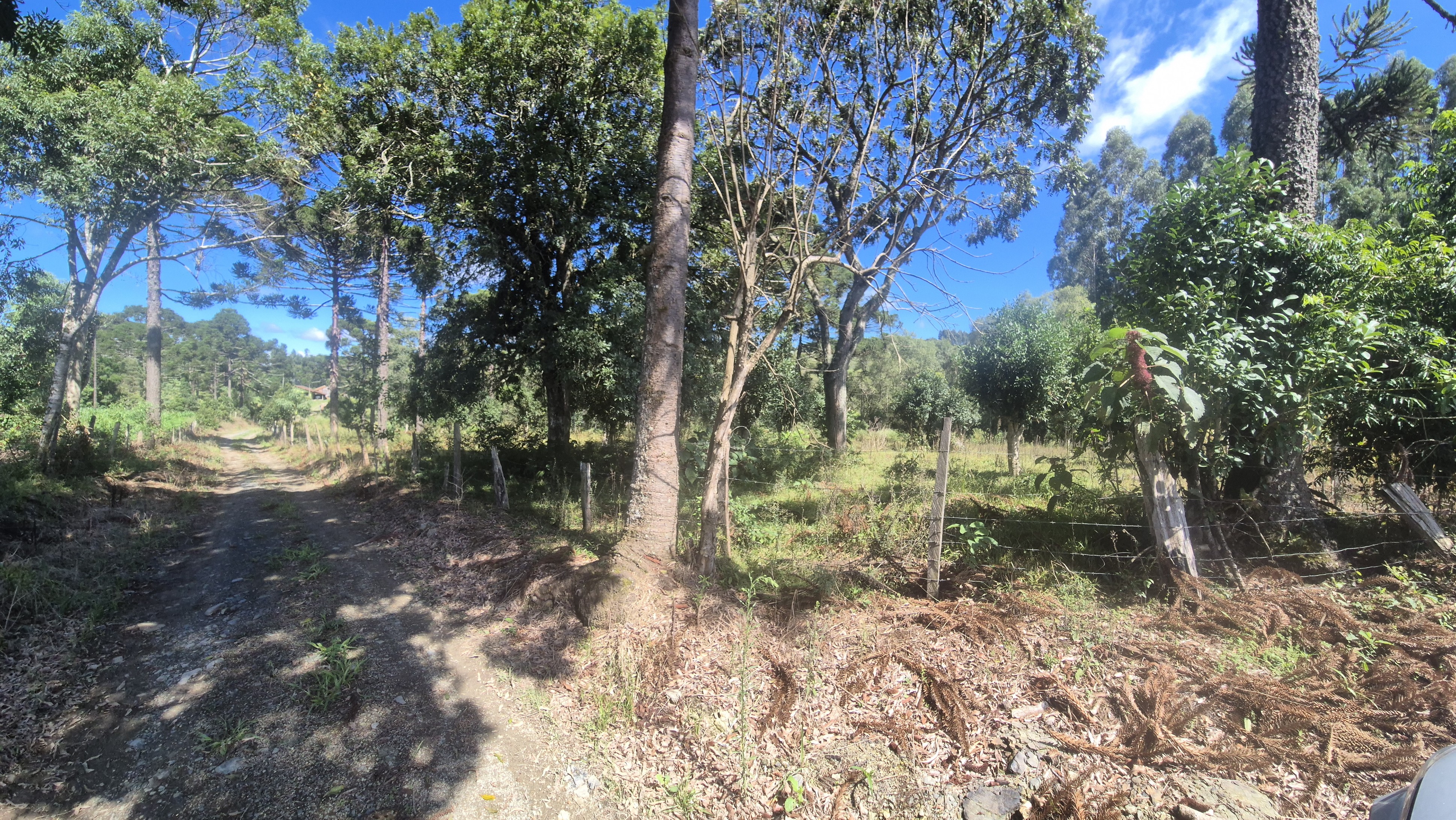 Imagem do Terreno Rural com 354.301,00 m2 - Rio da Veada Canoinhas