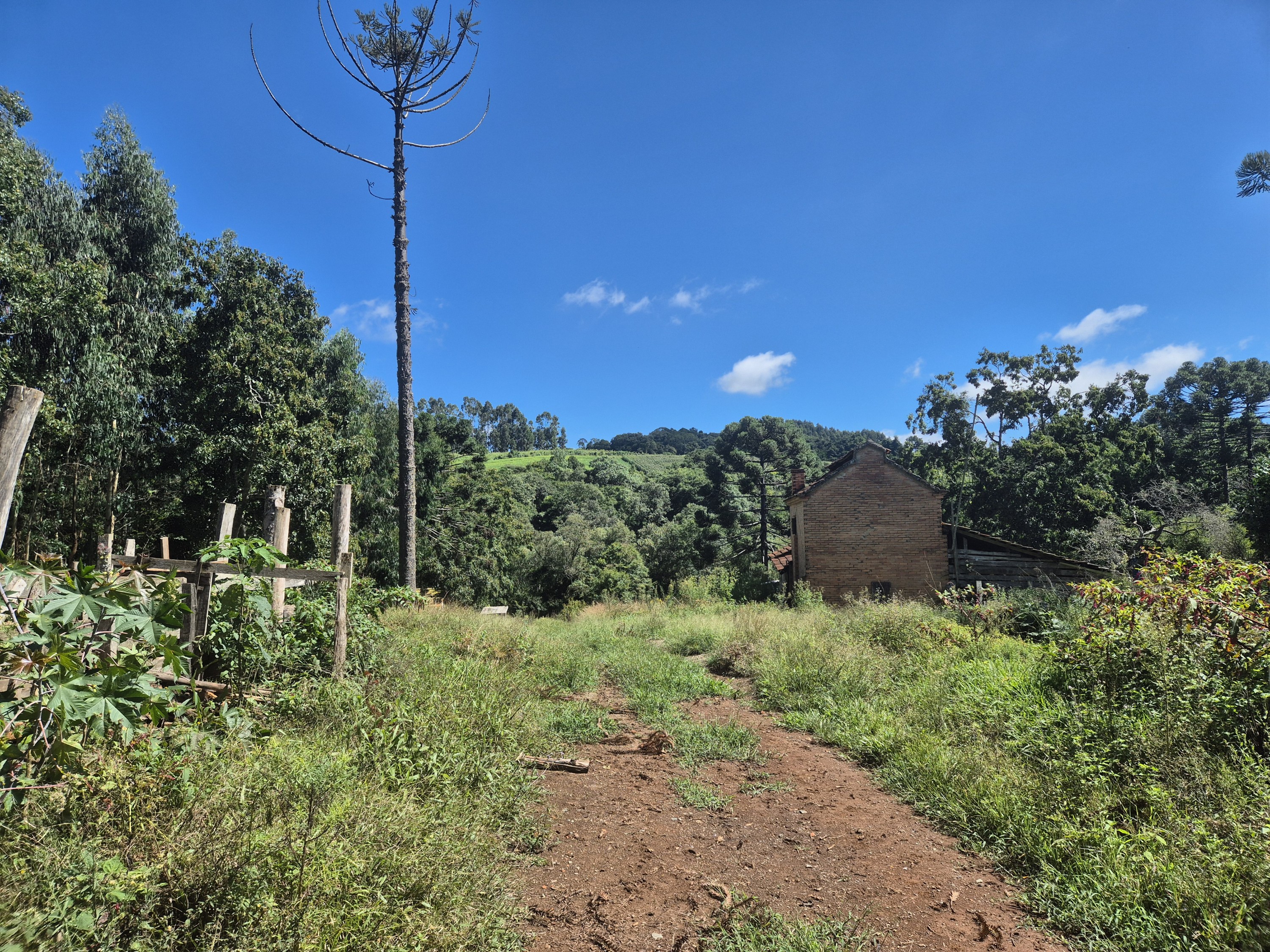 Imagem do Terreno Rural com 354.301,00 m2 - Rio da Veada Canoinhas