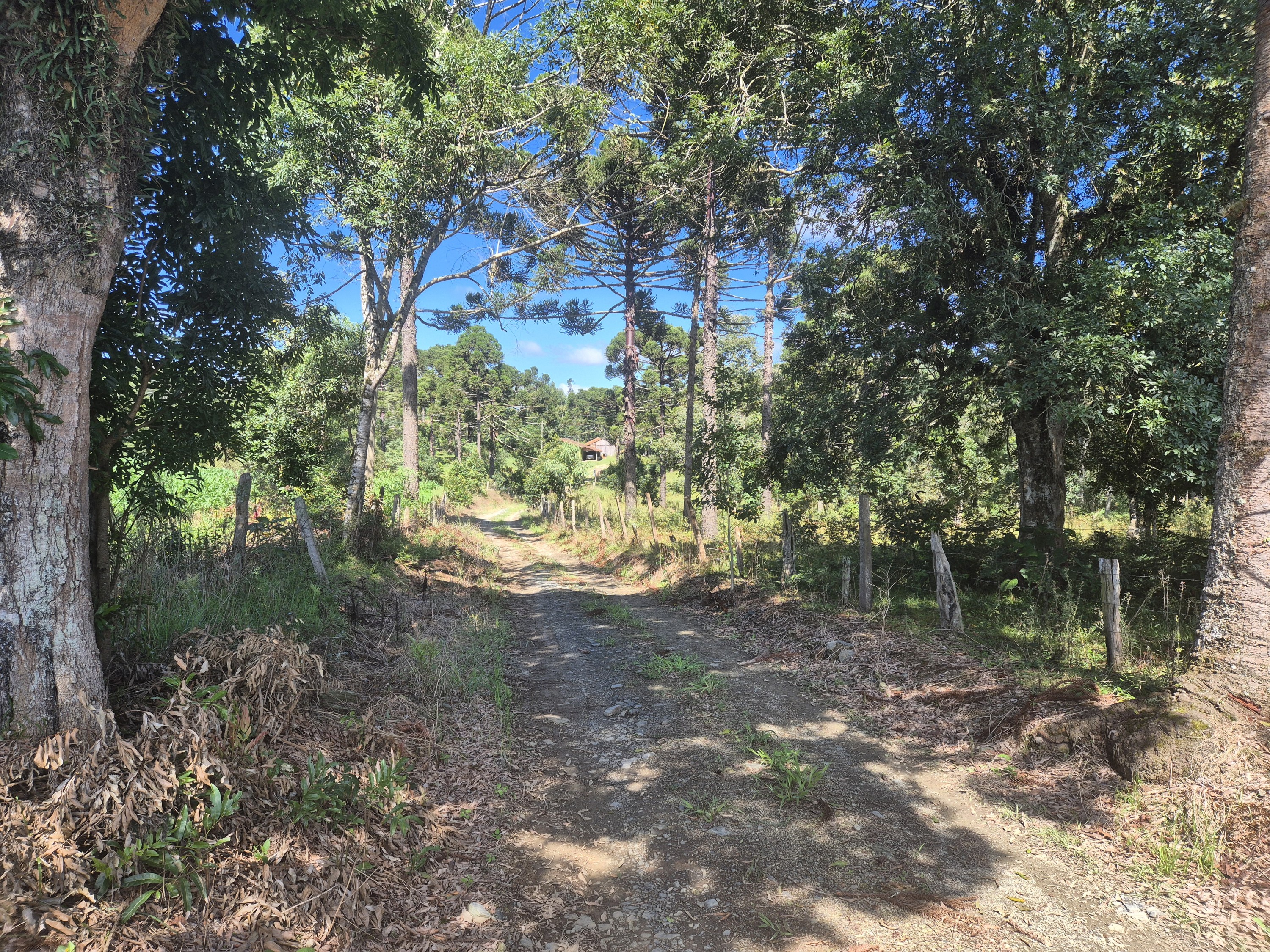 Imagem do Terreno Rural com 354.301,00 m2 - Rio da Veada Canoinhas