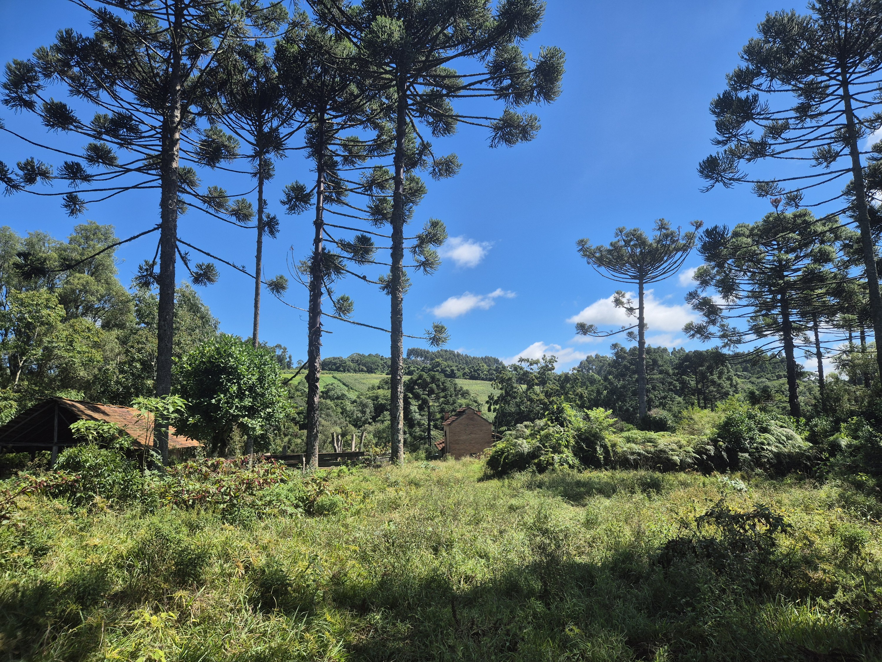 Imagem do Terreno Rural com 354.301,00 m2 - Rio da Veada Canoinhas