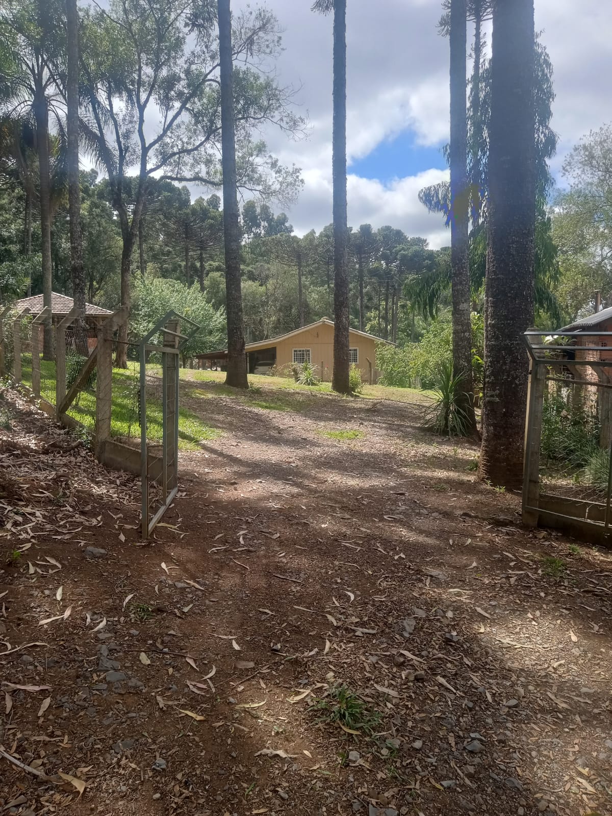 Imagem do A Venda - Sitio com casa e pertinho do Portal de Três Barras