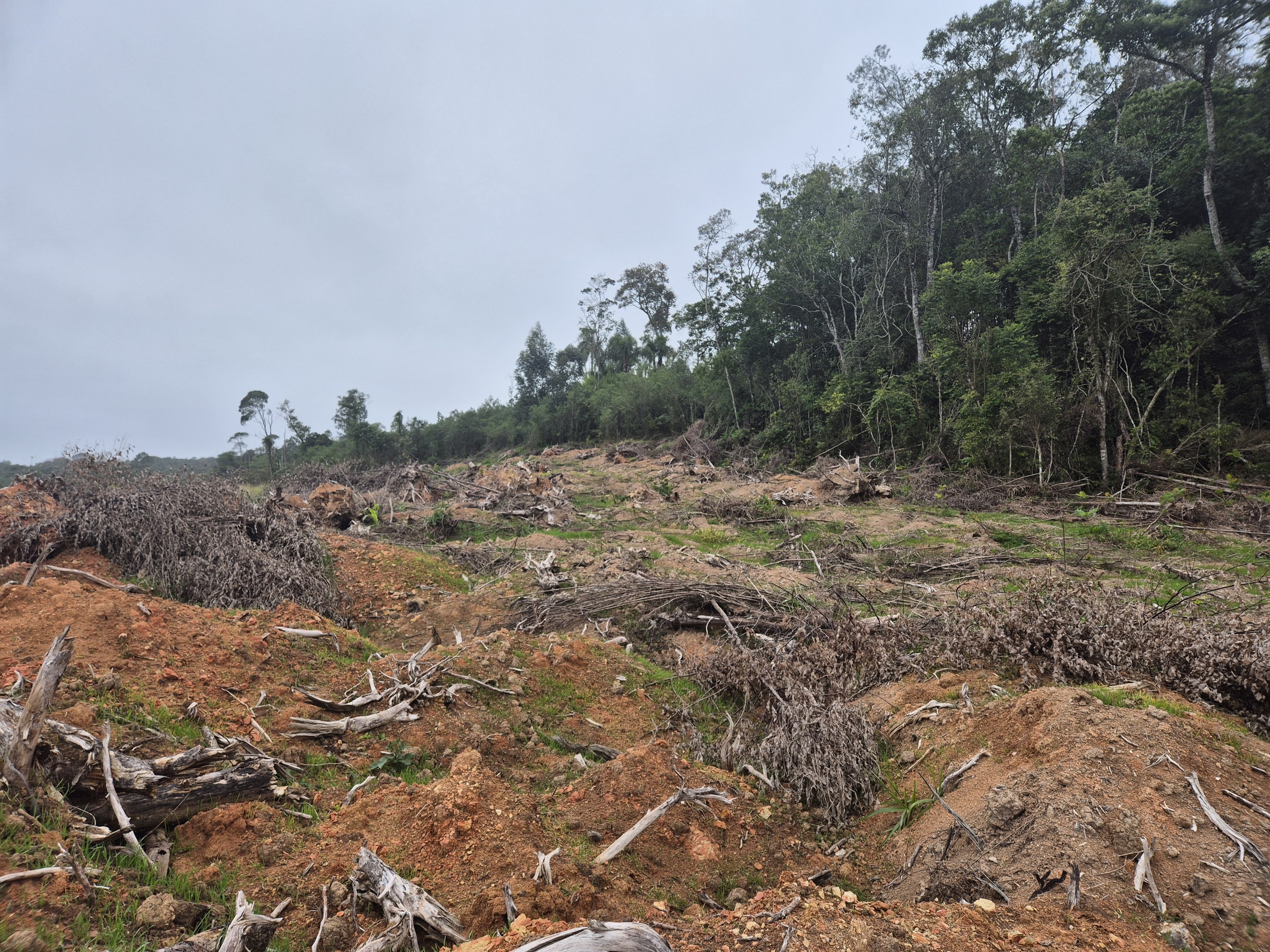 Imagem do A VENDA - Terreno Rural na localidade de Cachoeira com 3.6 ha. - sendo 2 ha. de lavoura