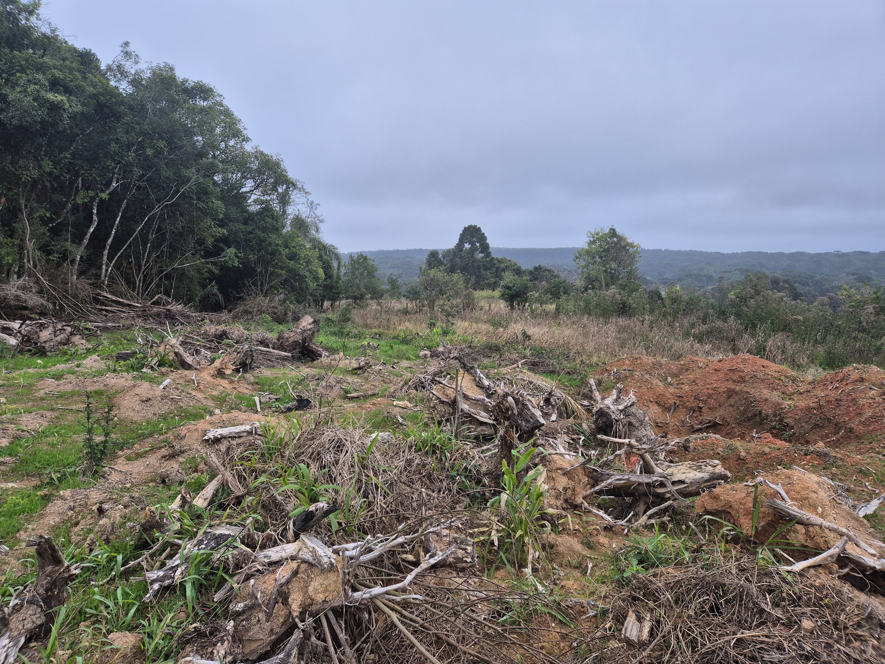 Imagem do A VENDA - Terreno Rural na localidade de Cachoeira com 3.6 ha. - sendo 2 ha. de lavoura