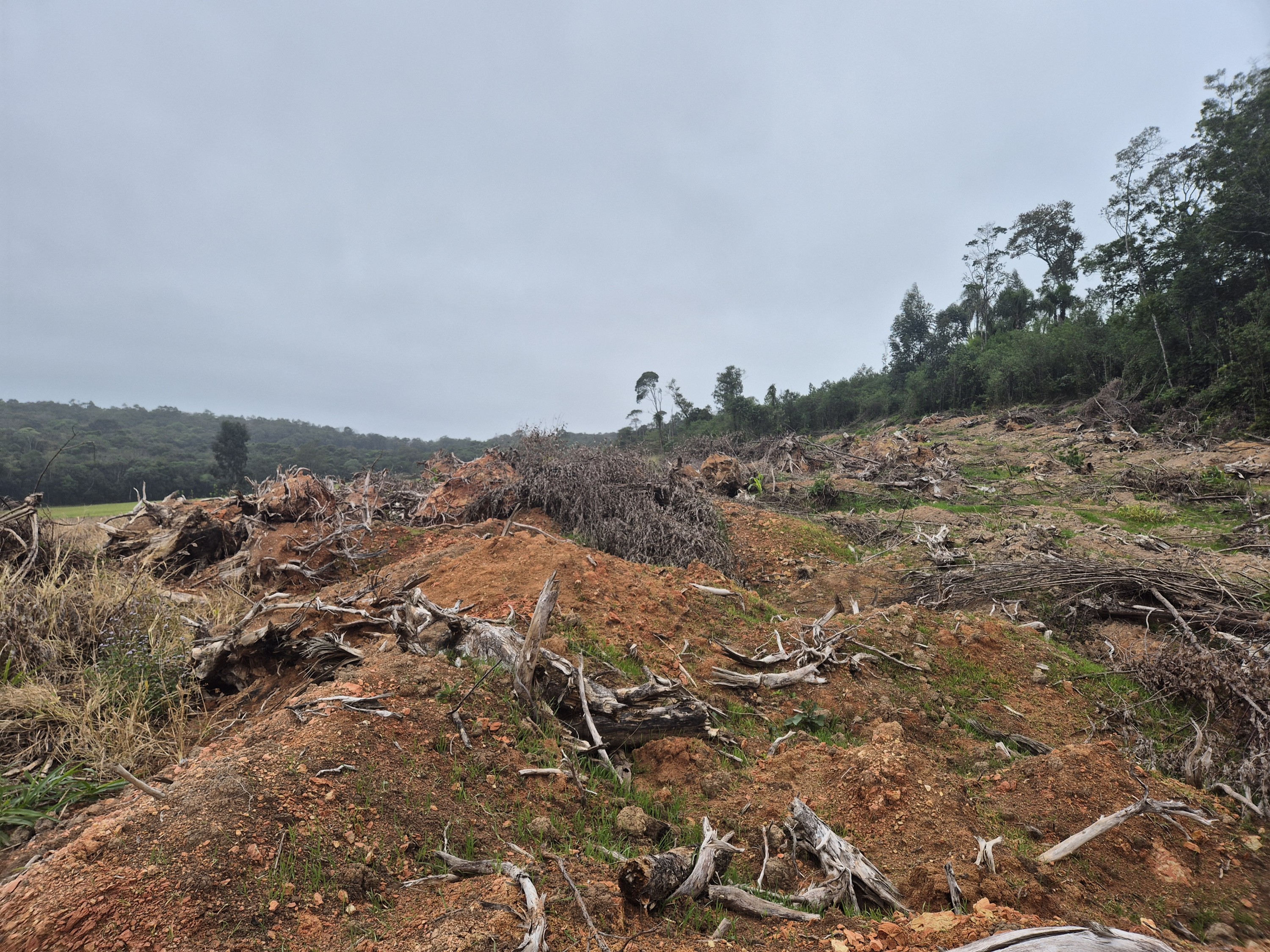 Imagem do A VENDA - Terreno Rural na localidade de Cachoeira com 3.6 ha. - sendo 2 ha. de lavoura