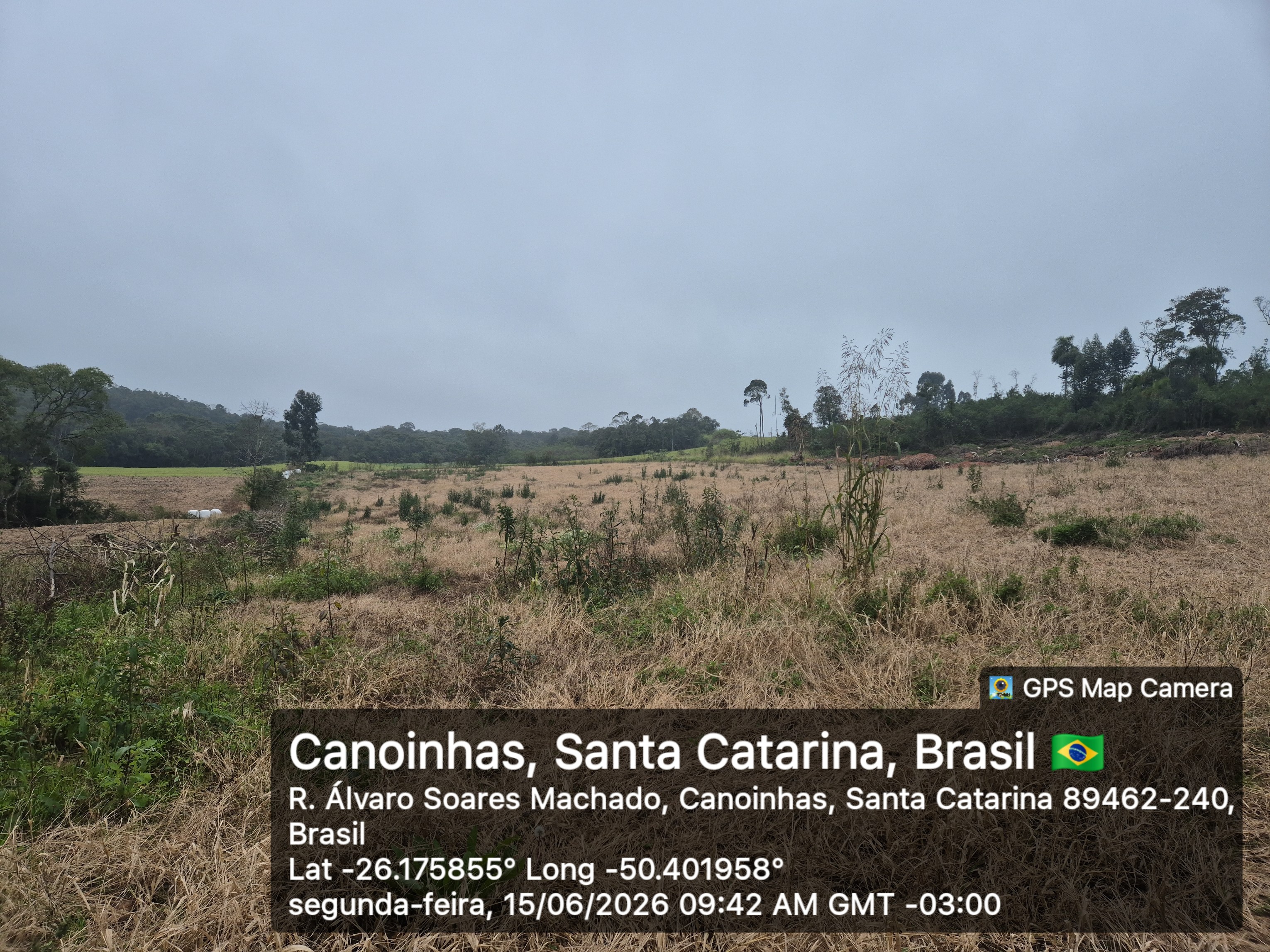 Imagem do A VENDA - Terreno Rural na localidade de Cachoeira com 3.6 ha. - sendo 2 ha. de lavoura