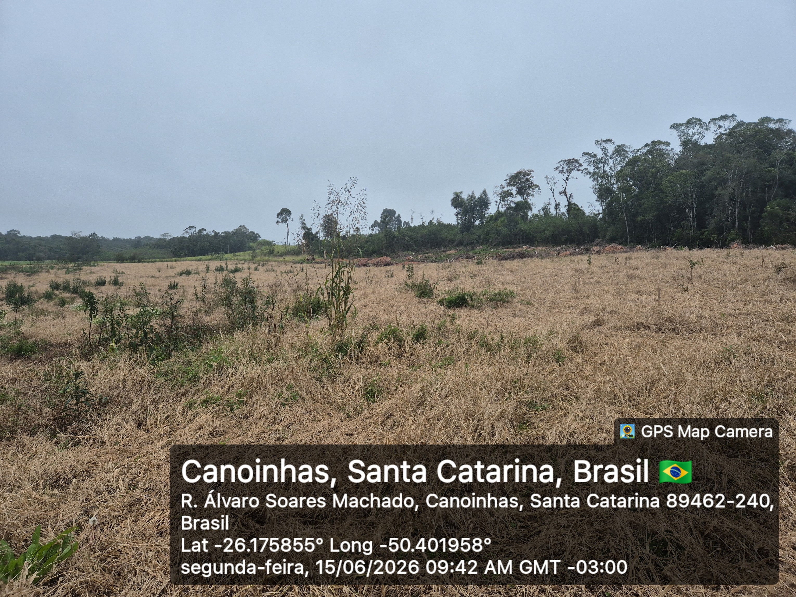 Imagem do A VENDA - Terreno Rural na localidade de Cachoeira com 3.6 ha. - sendo 2 ha. de lavoura
