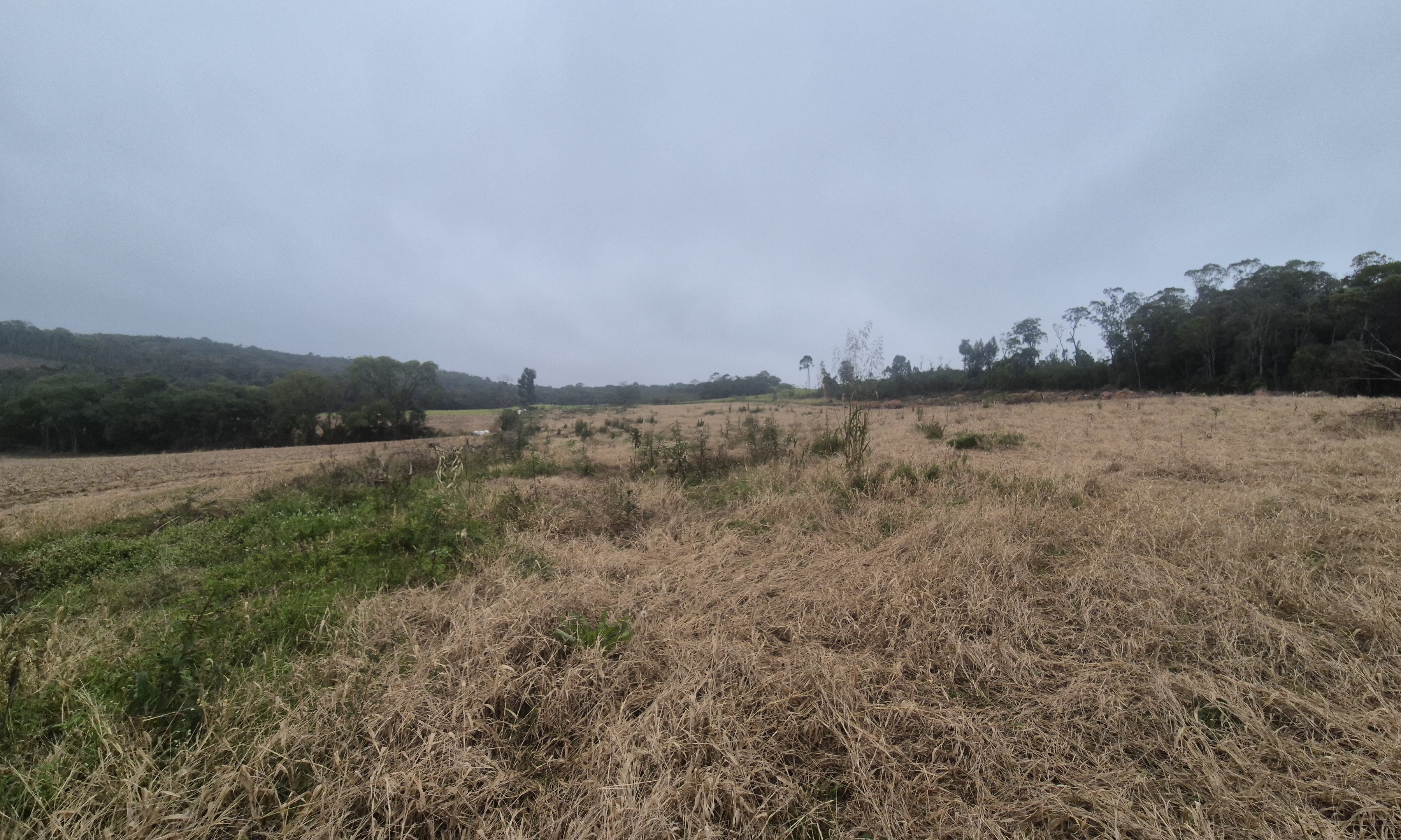 Imagem do A VENDA - Terreno Rural na localidade de Cachoeira com 3.6 ha. - sendo 2 ha. de lavoura