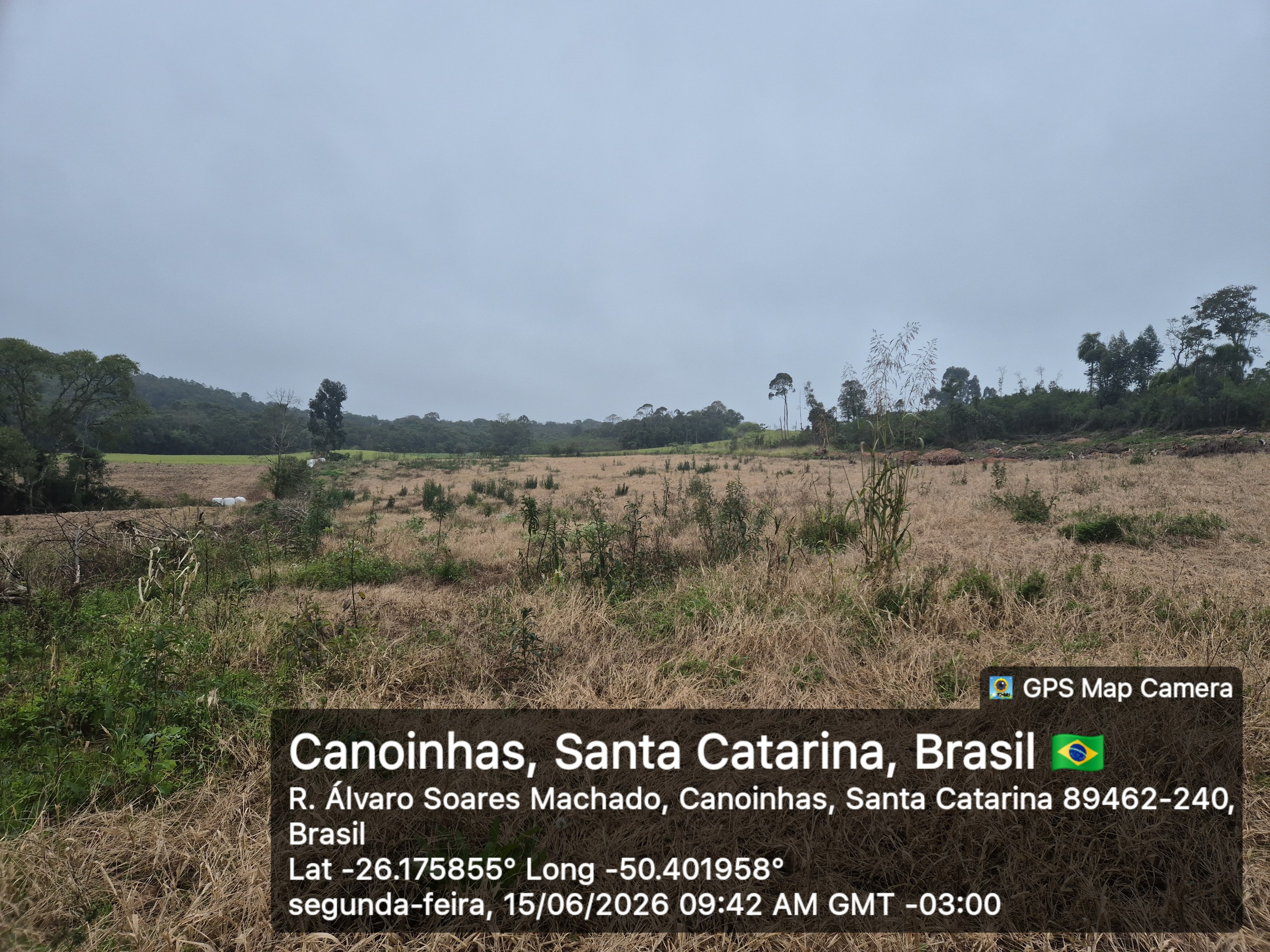 Imagem do A VENDA - Terreno Rural na localidade de Cachoeira com 3.6 ha. - sendo 2 ha. de lavoura