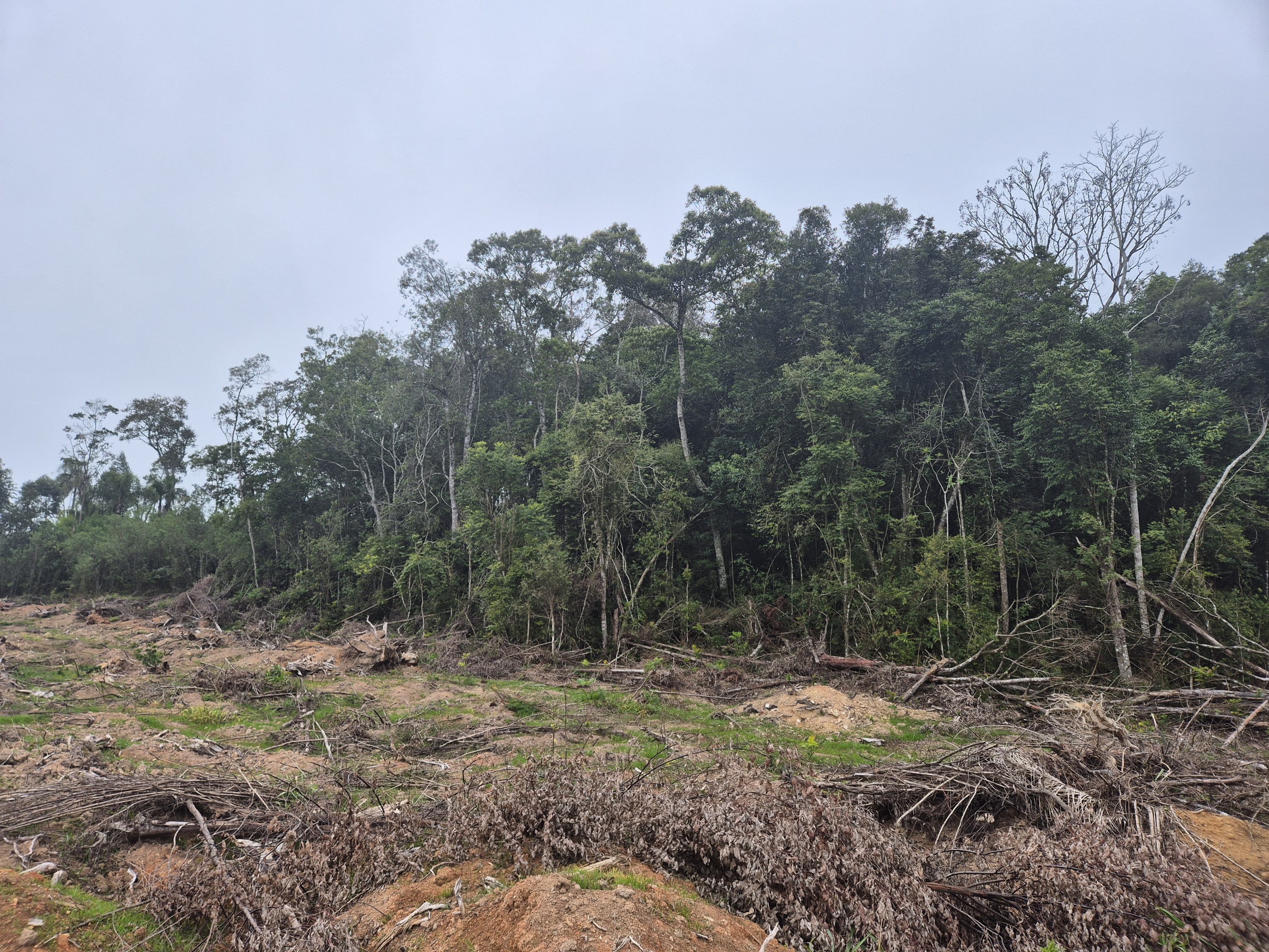 Imagem do A VENDA - Terreno Rural na localidade de Cachoeira com 3.6 ha. - sendo 2 ha. de lavoura