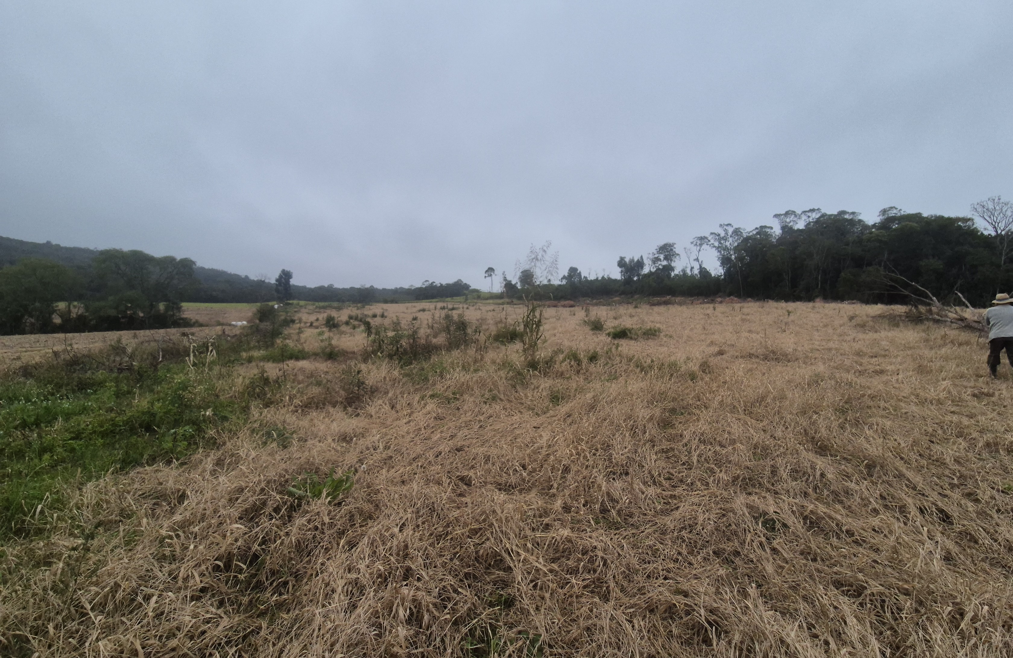 Imagem do A VENDA - Terreno Rural na localidade de Cachoeira com 3.6 ha. - sendo 2 ha. de lavoura
