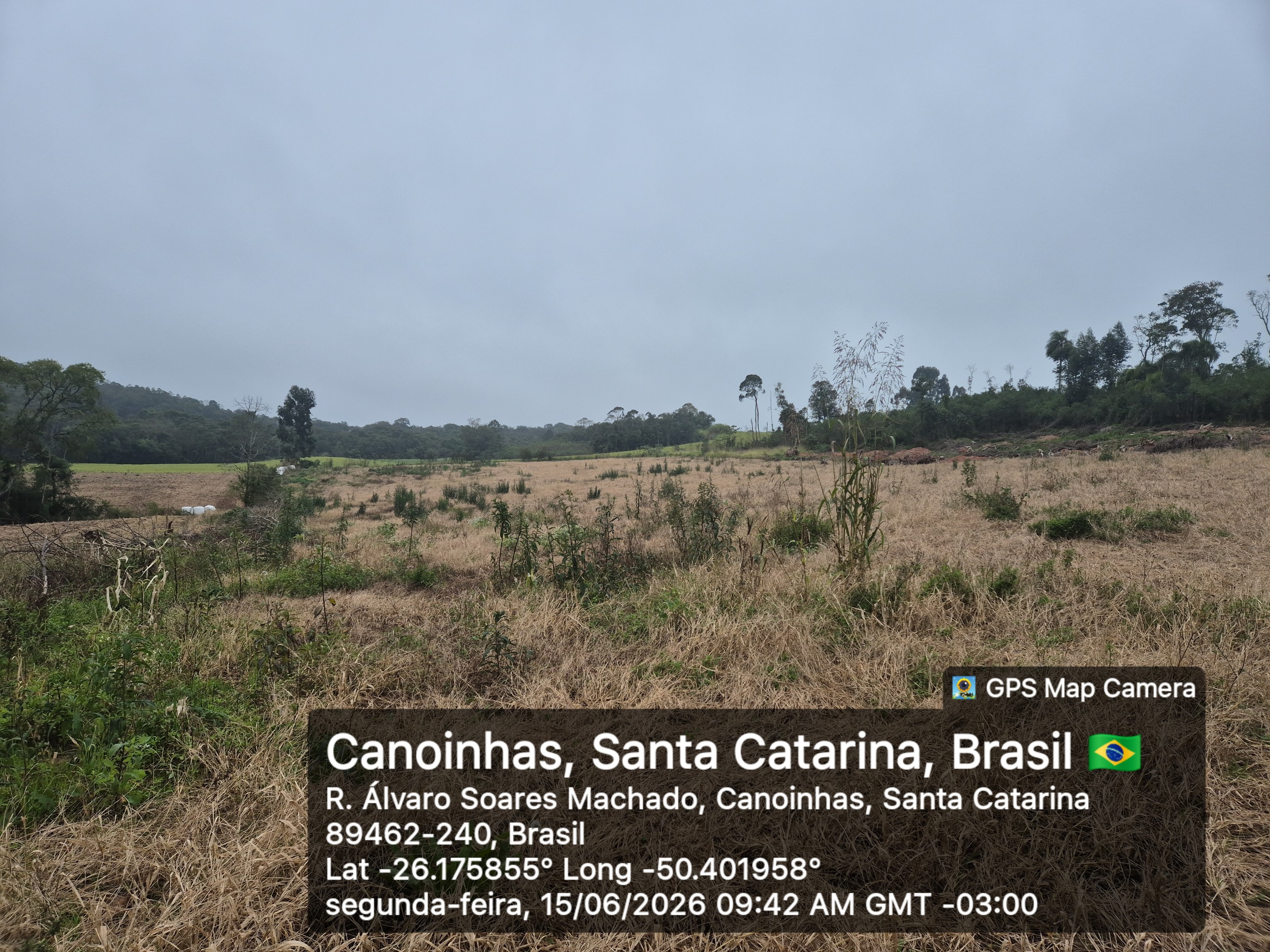 Imagem do A VENDA - Terreno Rural na localidade de Cachoeira com 3.6 ha. - sendo 2 ha. de lavoura
