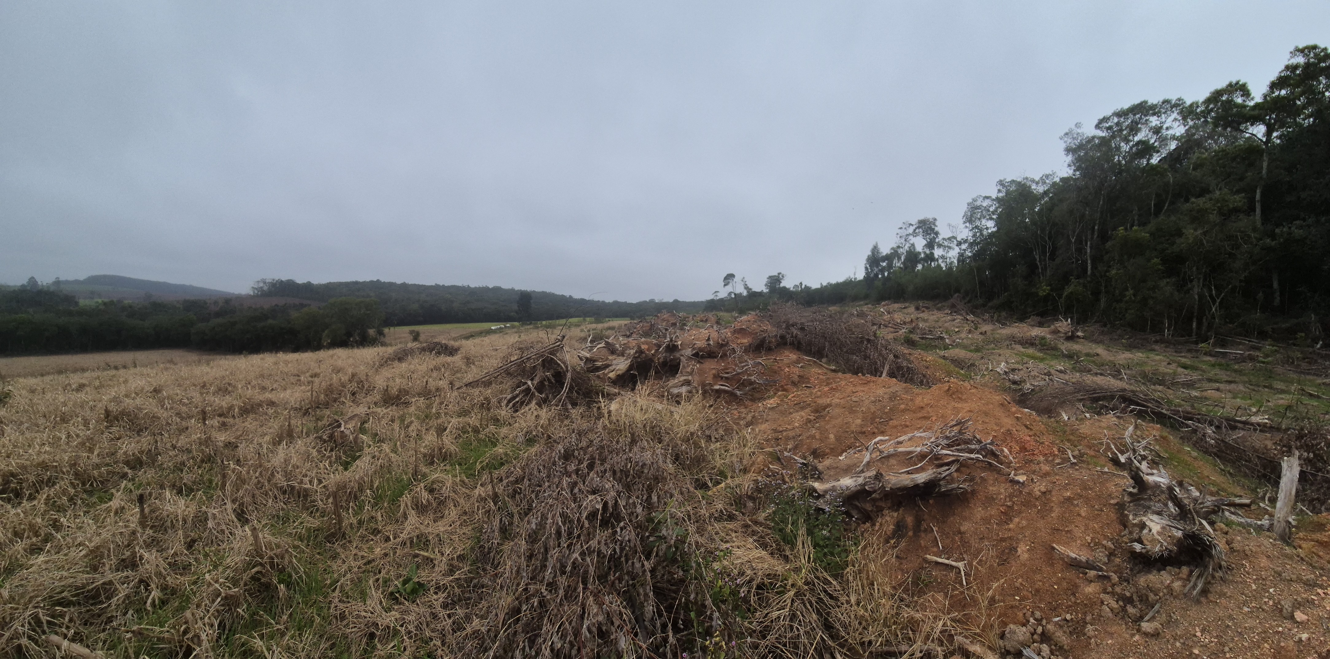 Imagem do A VENDA - Terreno Rural na localidade de Cachoeira com 3.6 ha. - sendo 2 ha. de lavoura