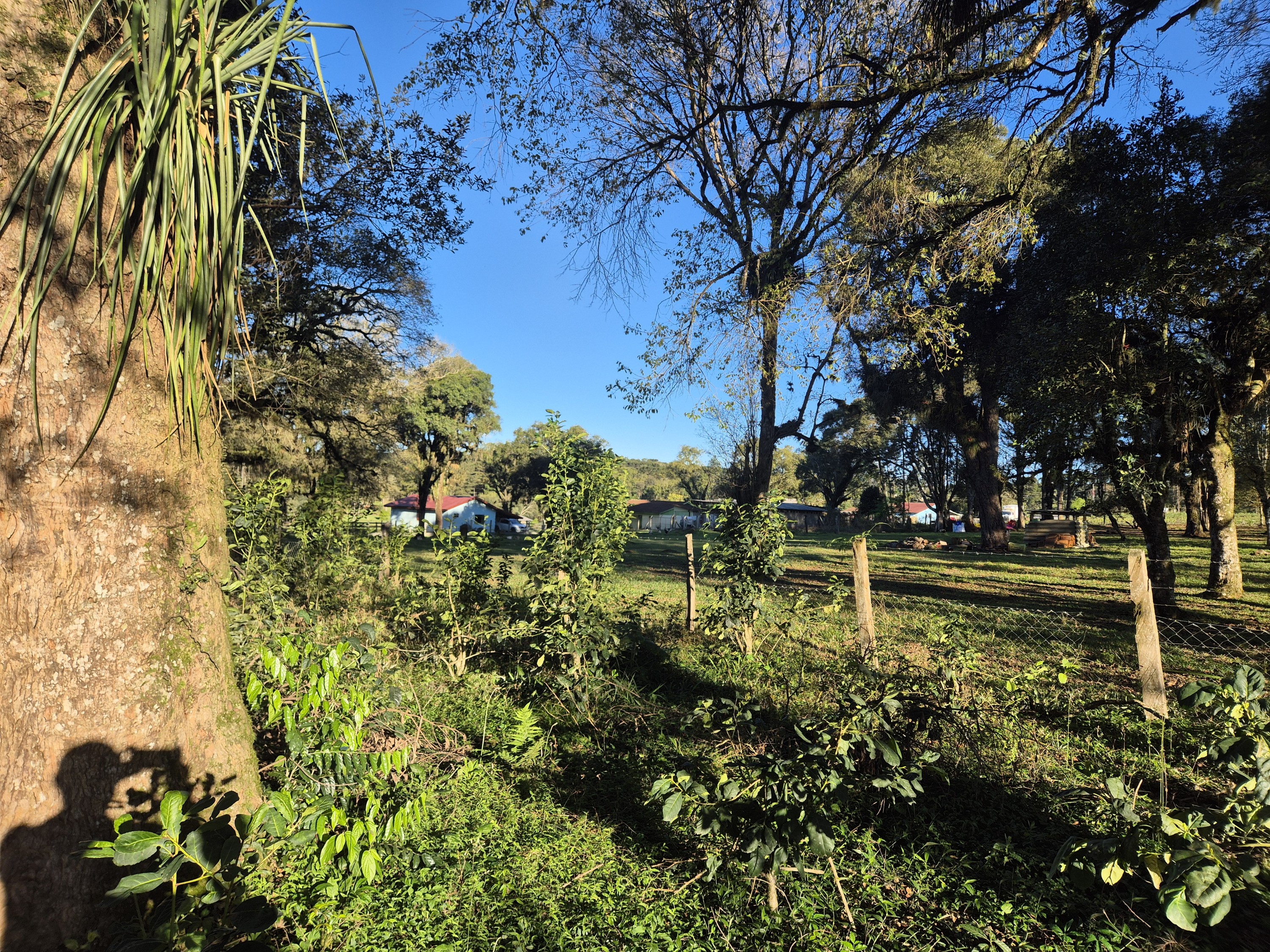 Imagem do Terreno Rural com 10.000 m2 - Sao João dos Cavalheiros