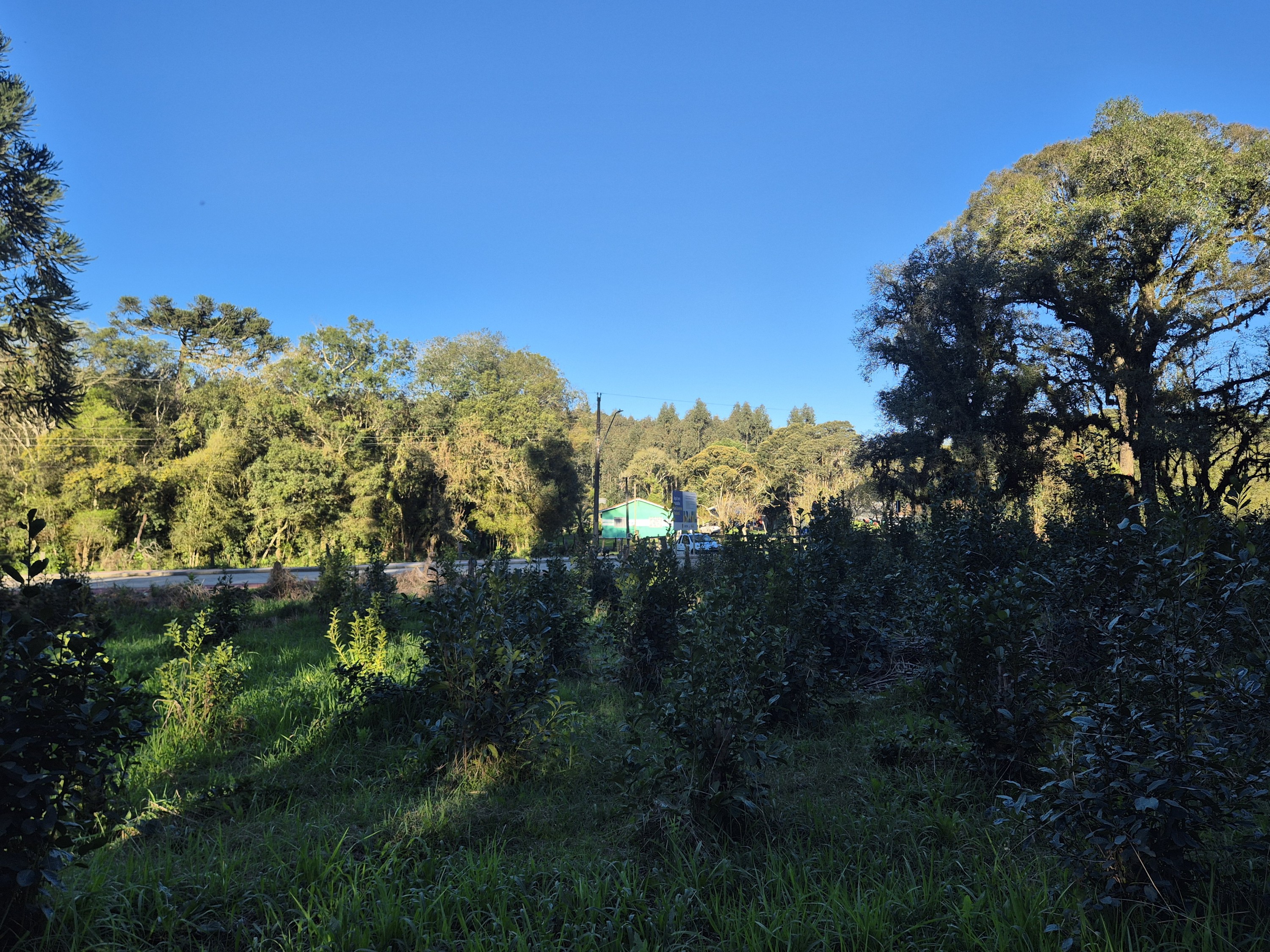 Imagem do Terreno Rural com 10.000 m2 - Sao João dos Cavalheiros