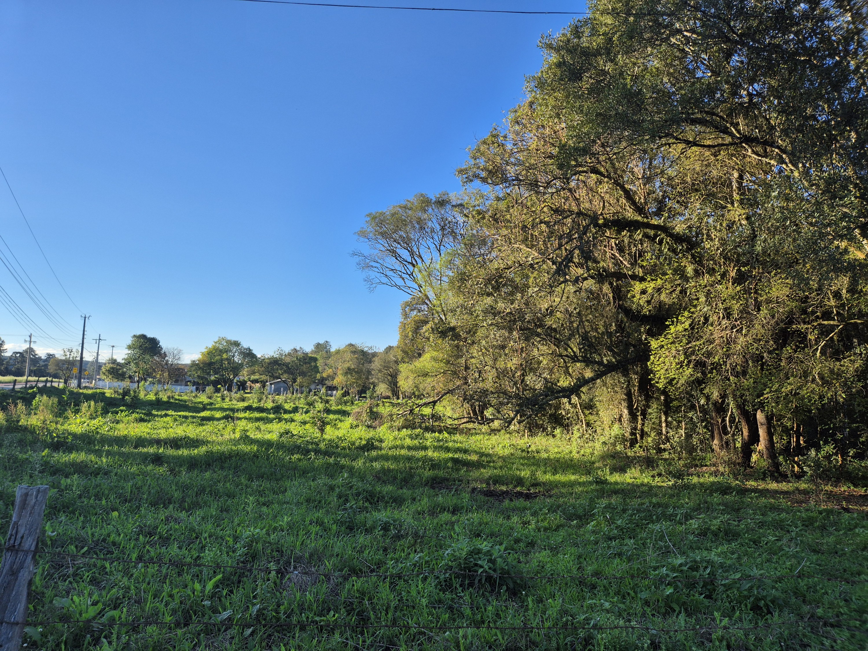 Imagem do Terreno Rural com 10.000 m2 - Sao João dos Cavalheiros