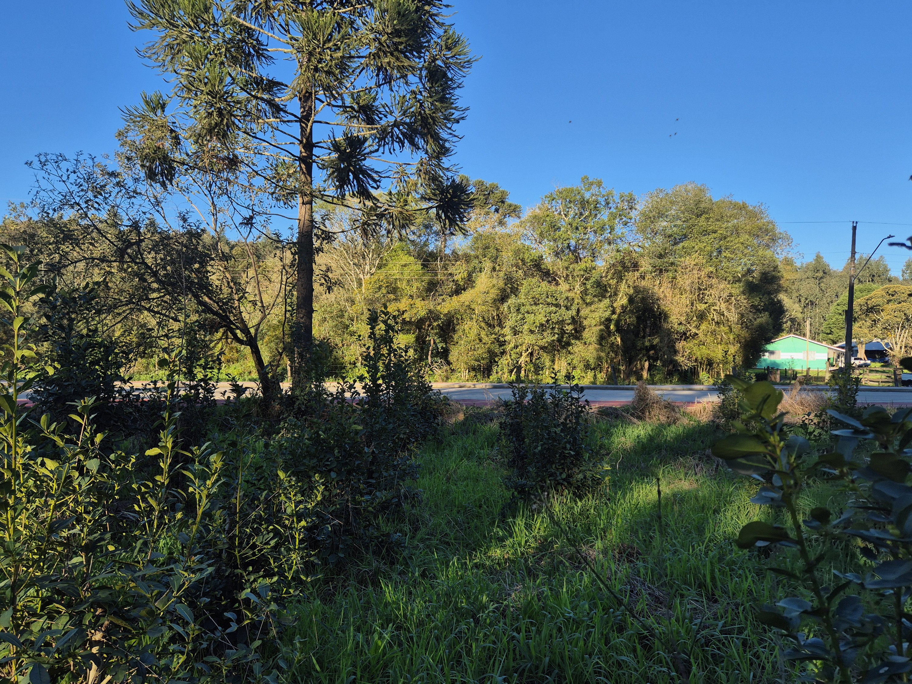 Imagem do Terreno Rural com 10.000 m2 - Sao João dos Cavalheiros