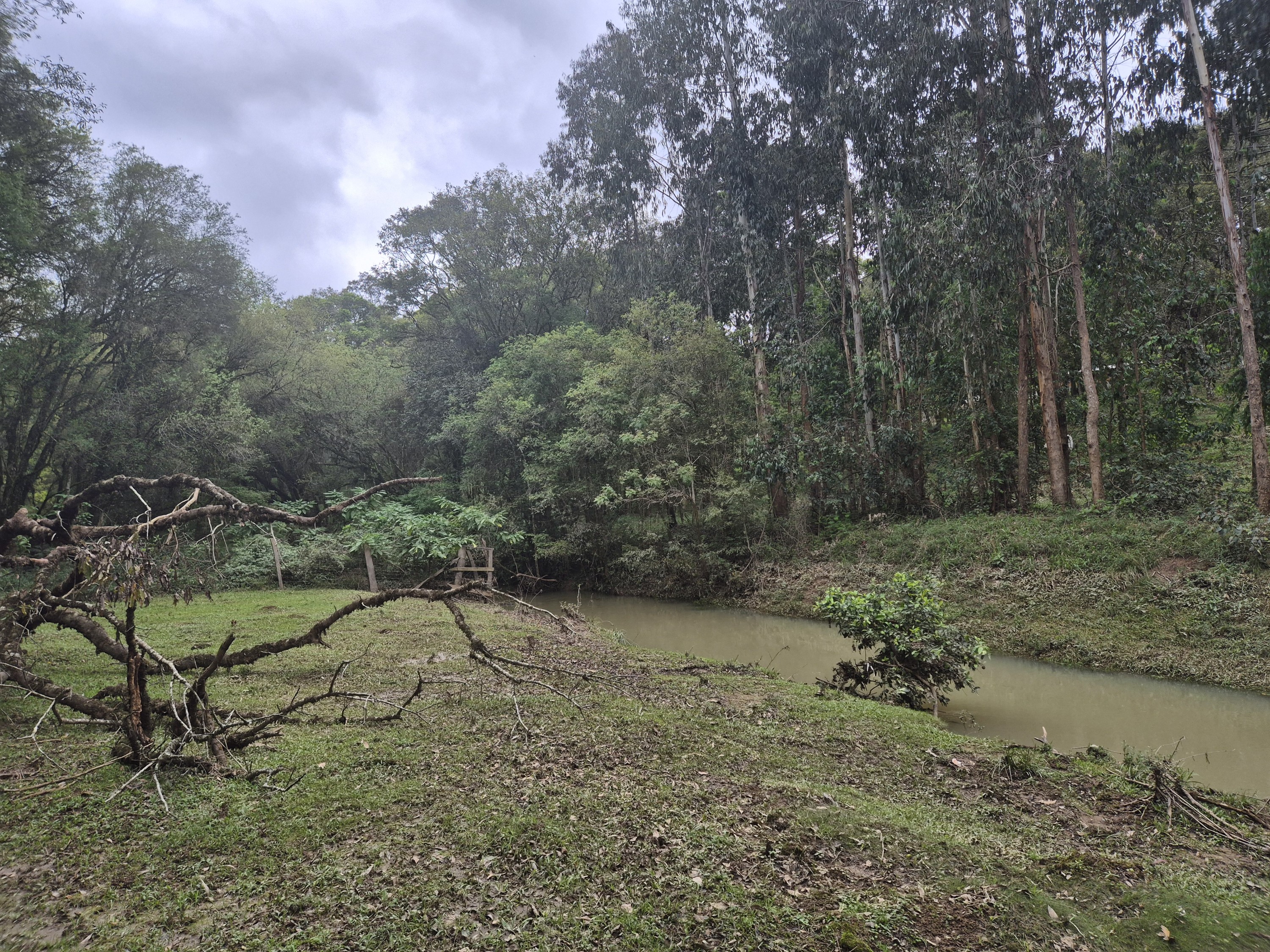 Imagem do A VENDA - Sítio com àrea de 33.423,43 m2 - Bairro Água Verde - Cercado e com água