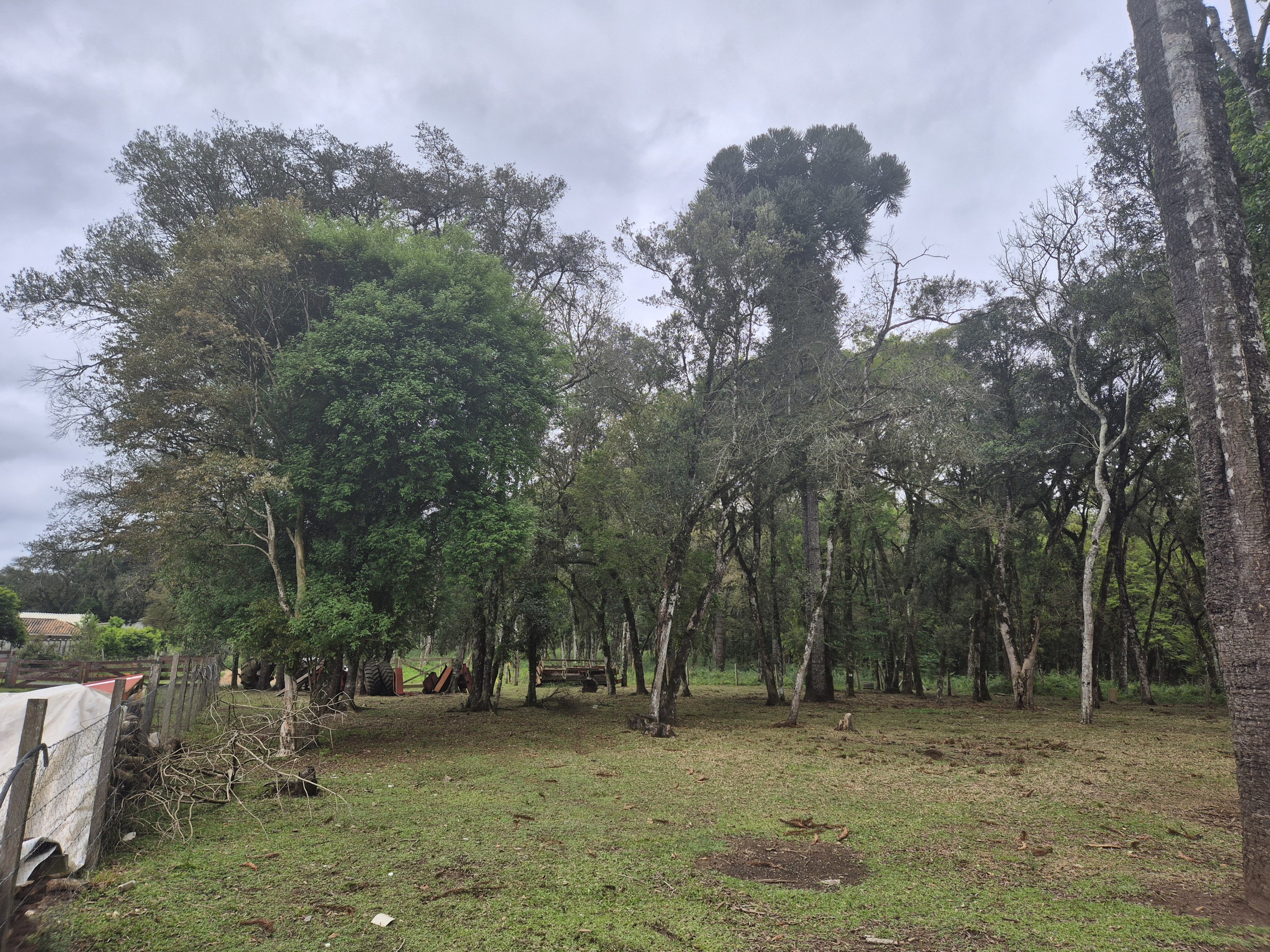Imagem do A VENDA - Sítio com àrea de 33.423,43 m2 - Bairro Água Verde - Cercado e com água