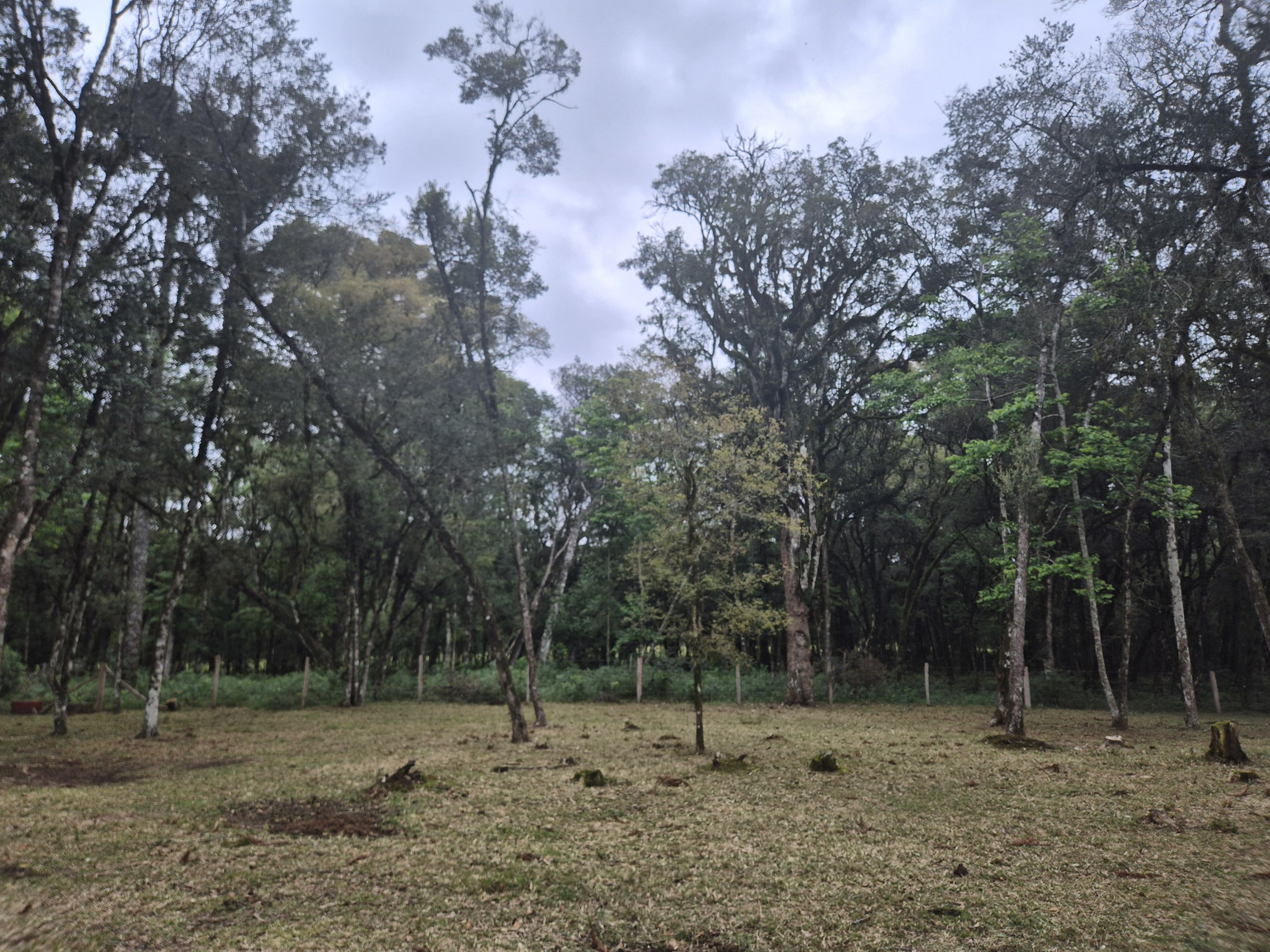Imagem do A VENDA - Sítio com àrea de 33.423,43 m2 - Bairro Água Verde - Cercado e com água