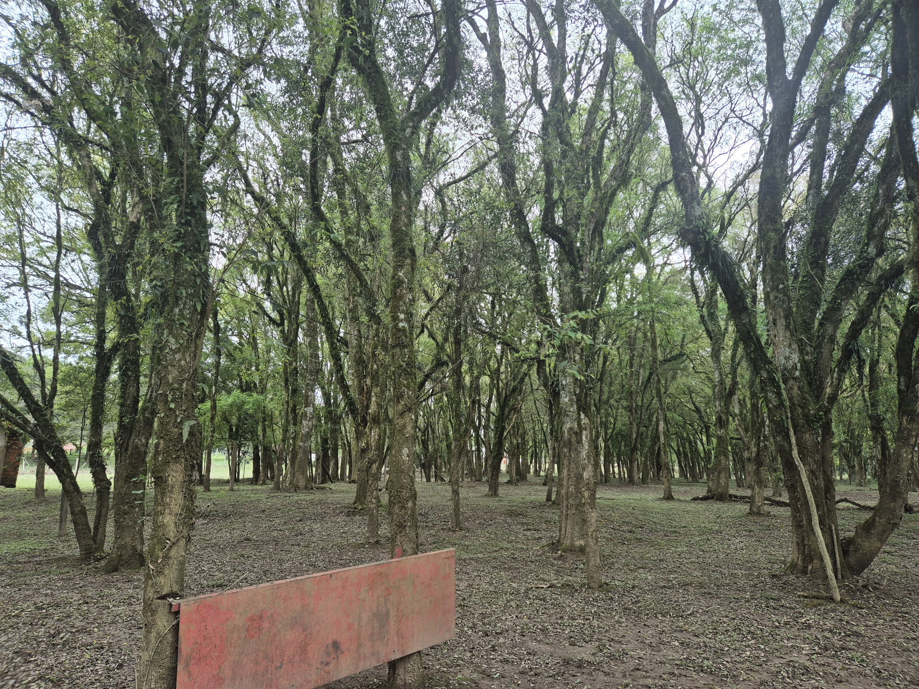 Imagem do A VENDA - Sítio com àrea de 33.423,43 m2 - Bairro Água Verde - Cercado e com água