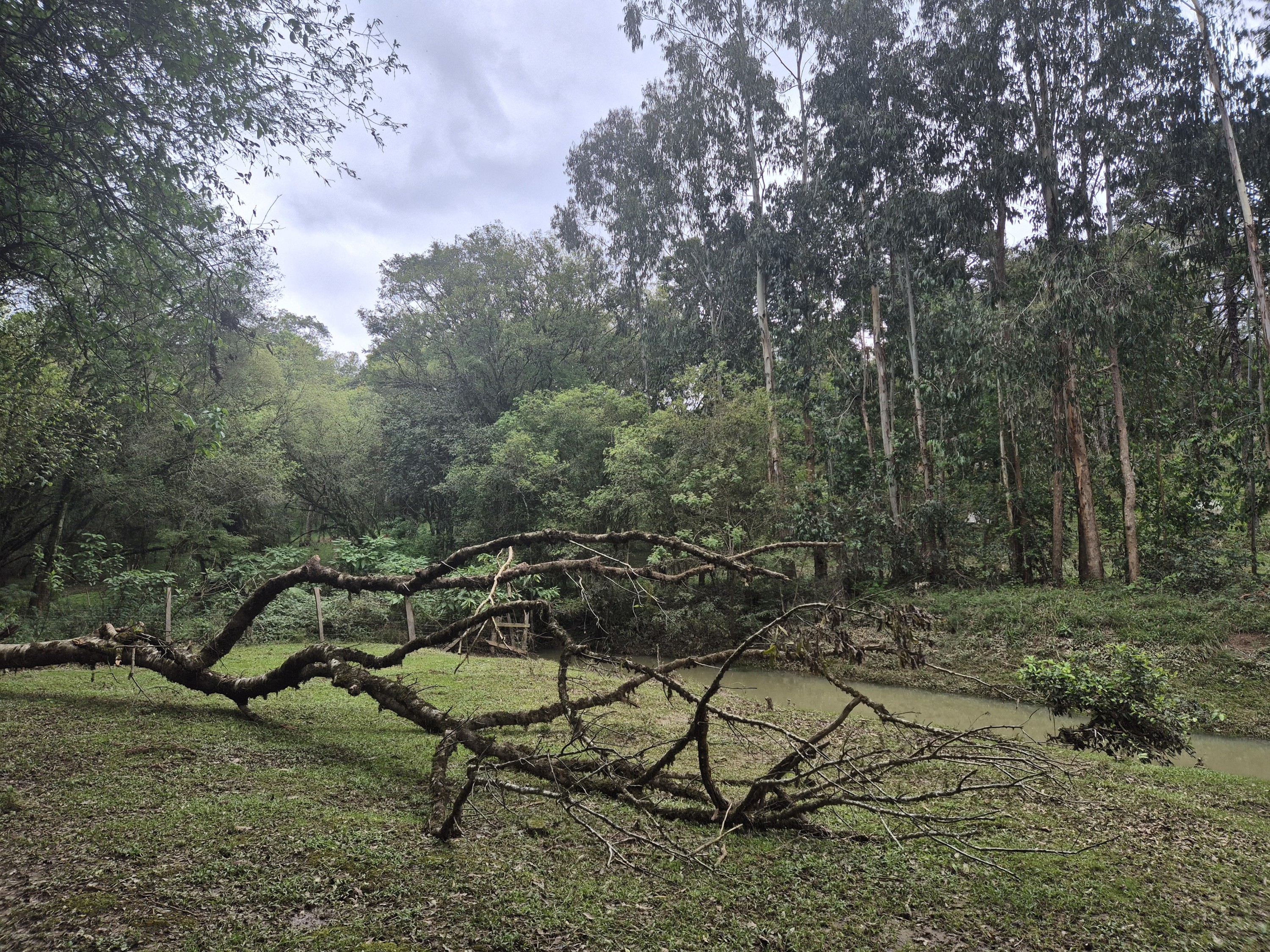 Imagem do A VENDA - Sítio com àrea de 33.423,43 m2 - Bairro Água Verde - Cercado e com água