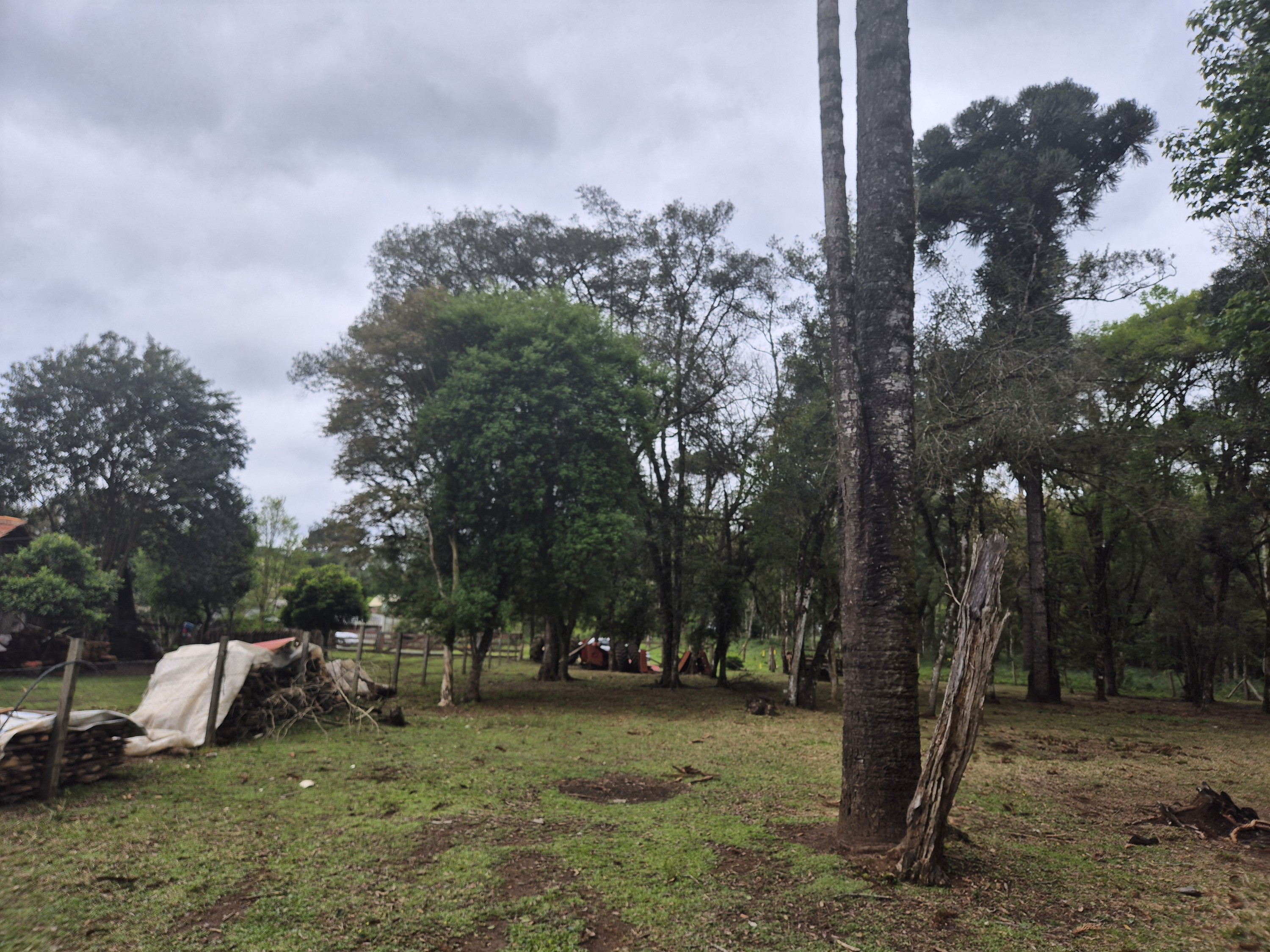 Imagem do A VENDA - Sítio com àrea de 33.423,43 m2 - Bairro Água Verde - Cercado e com água