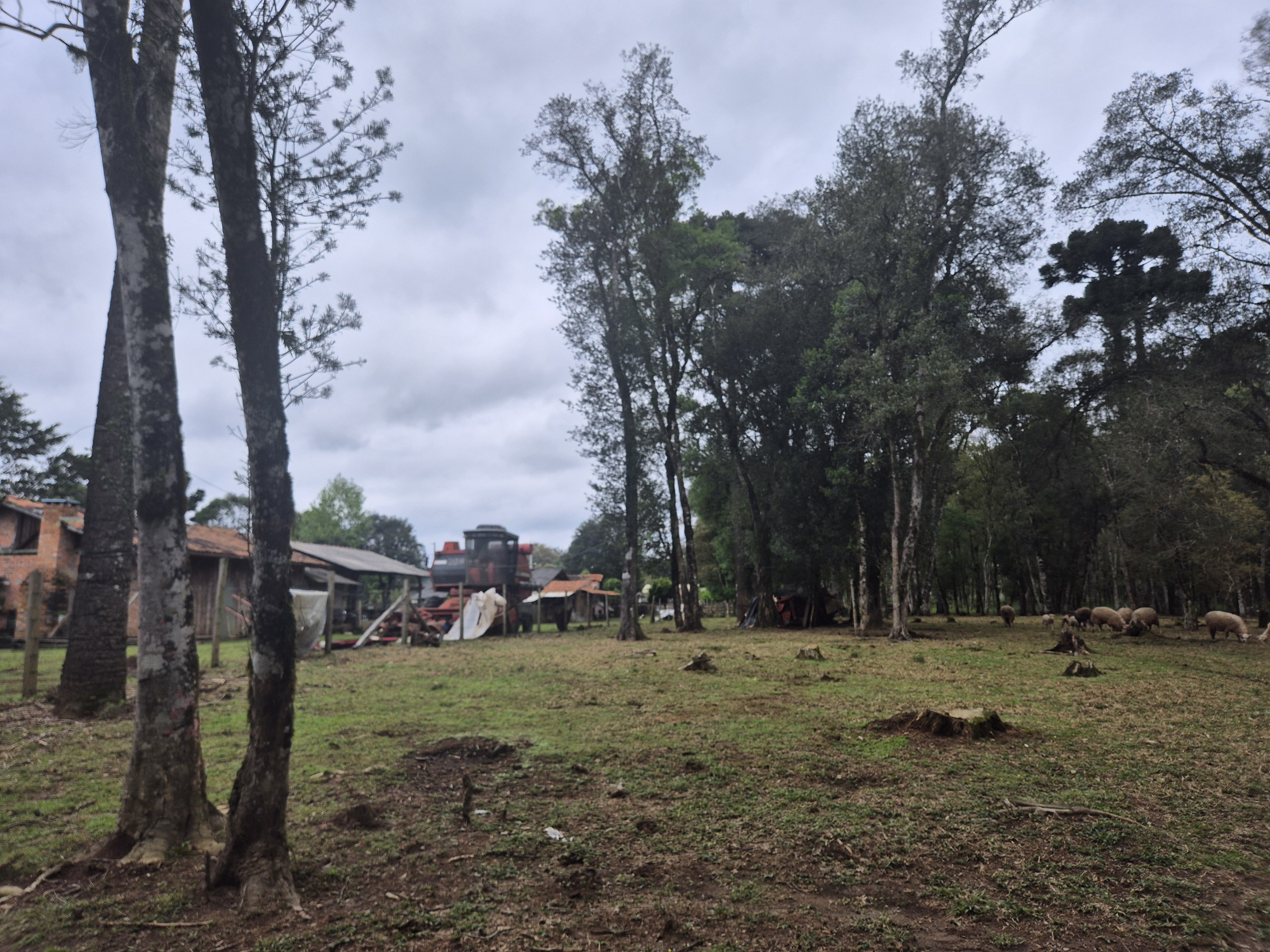 Imagem do A VENDA - Sítio com àrea de 33.423,43 m2 - Bairro Água Verde - Cercado e com água