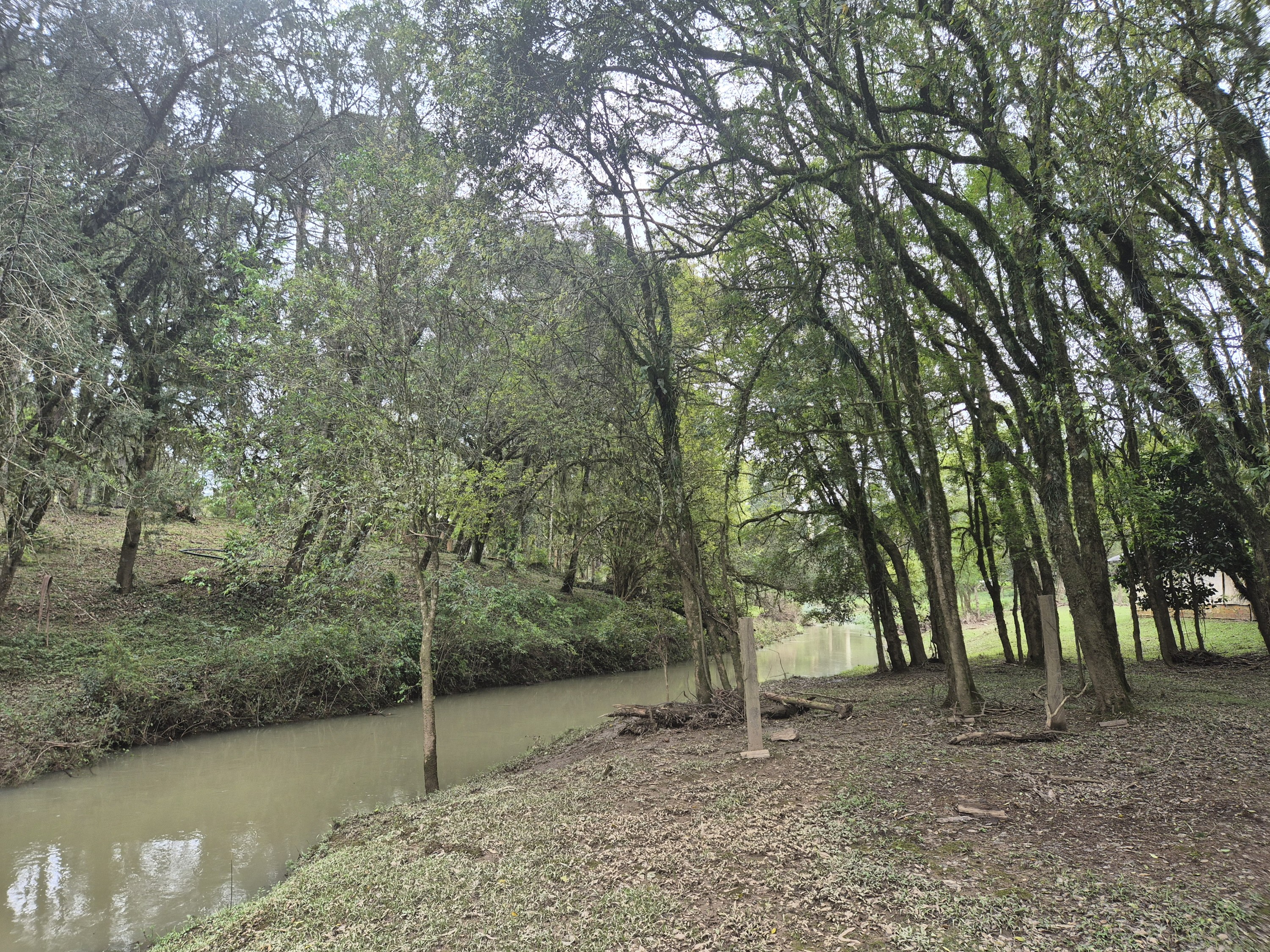 Imagem do A VENDA - Sítio com àrea de 33.423,43 m2 - Bairro Água Verde - Cercado e com água