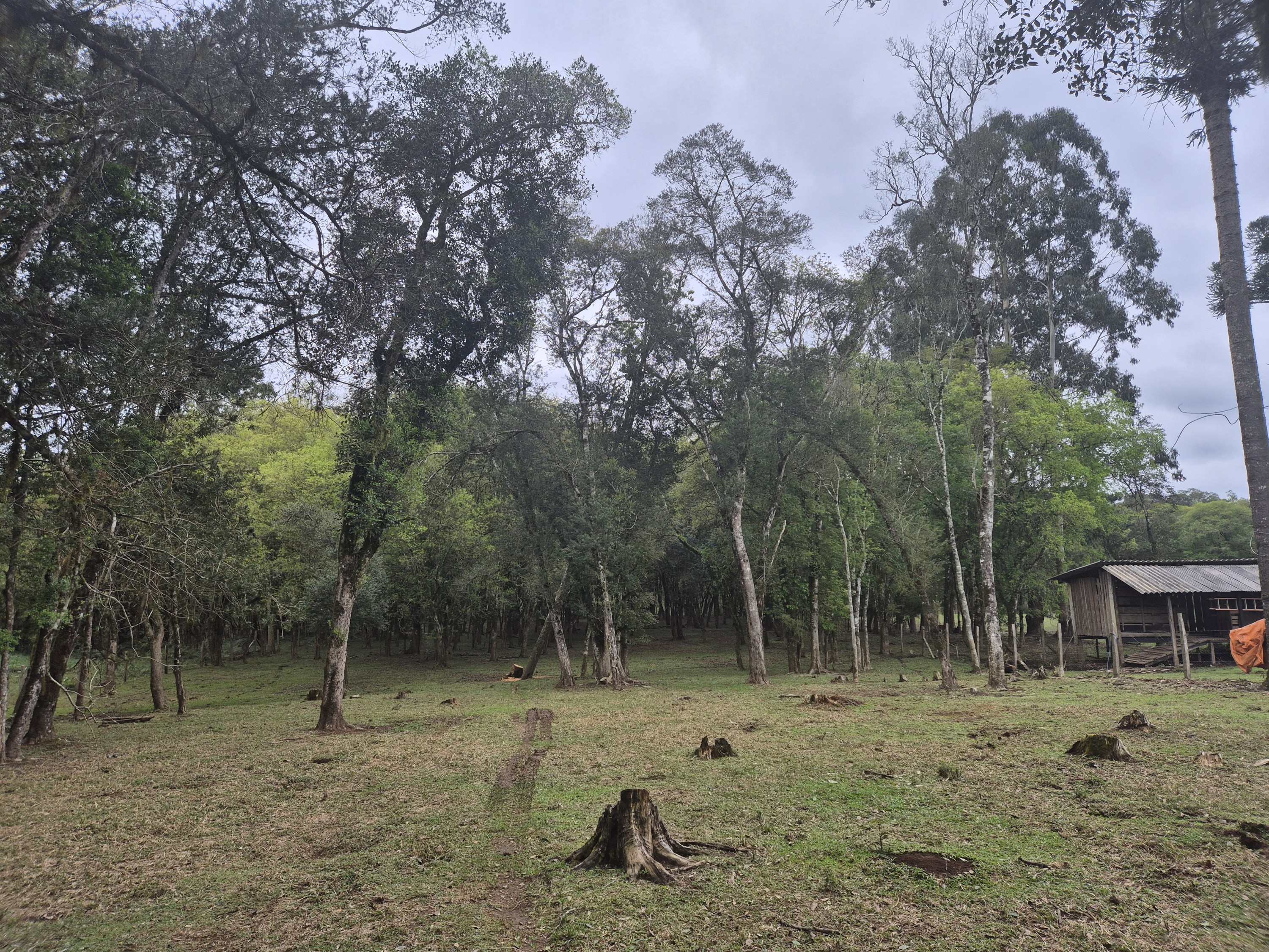 Imagem do A VENDA - Sítio com àrea de 33.423,43 m2 - Bairro Água Verde - Cercado e com água