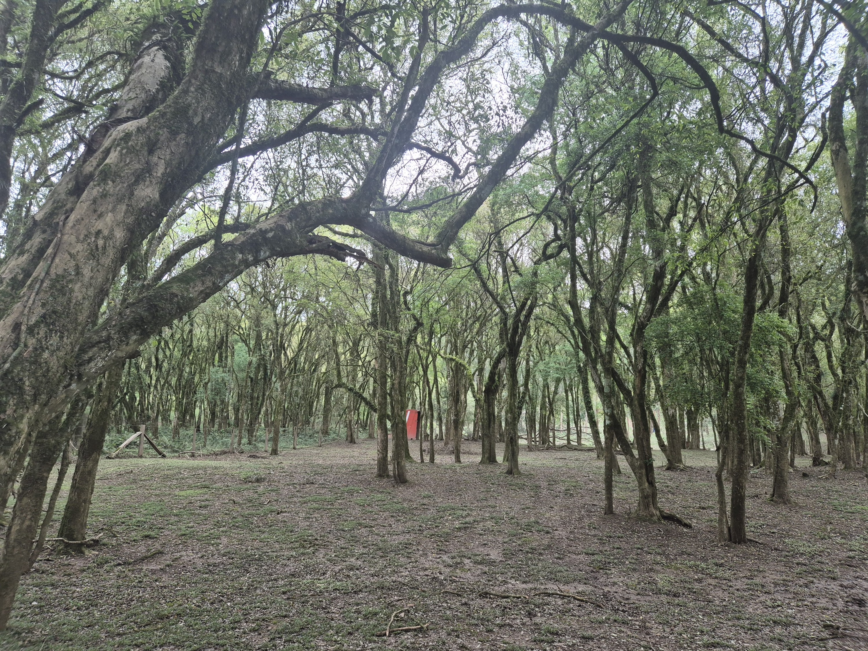 Imagem do A VENDA - Sítio com àrea de 33.423,43 m2 - Bairro Água Verde - Cercado e com água