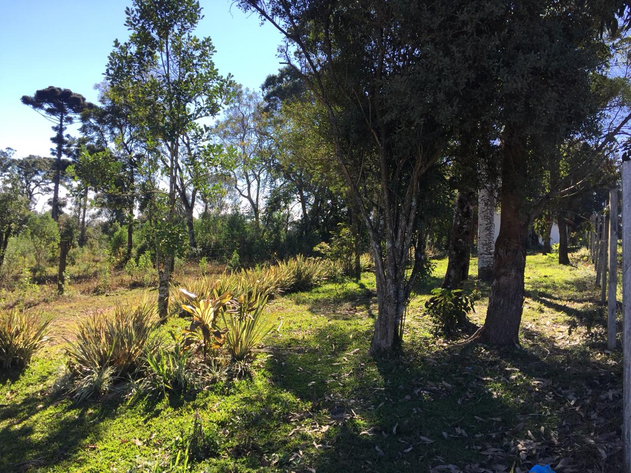 Imagem do Casa de alvenaria e terreno com 1.400 m2 no Alto da Tijuca