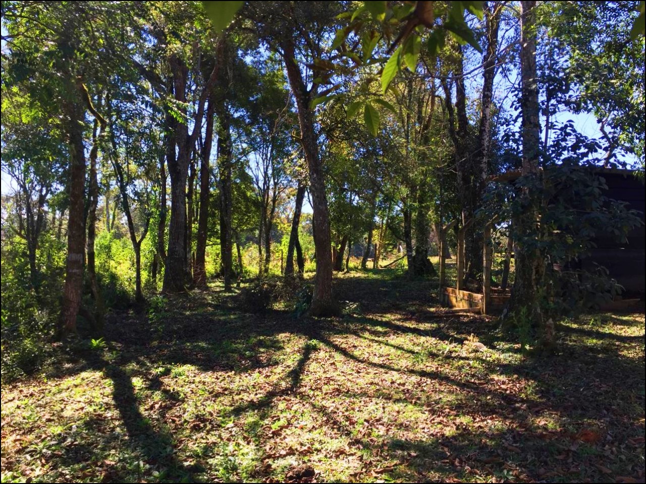 Imagem do Casa de alvenaria e terreno com 1.400 m2 no Alto da Tijuca