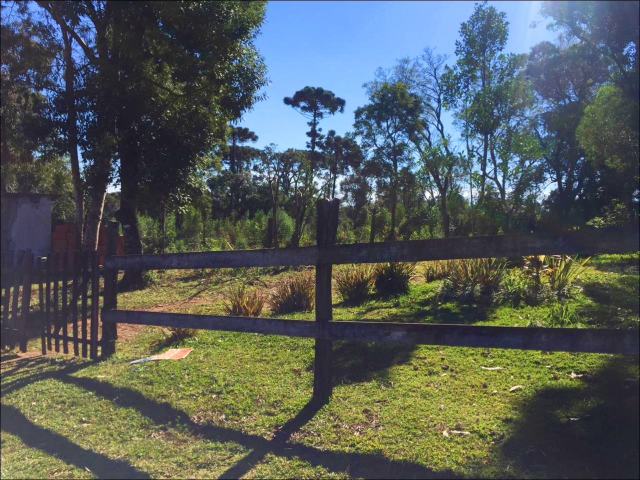 Imagem do Casa de alvenaria e terreno com 1.400 m2 no Alto da Tijuca