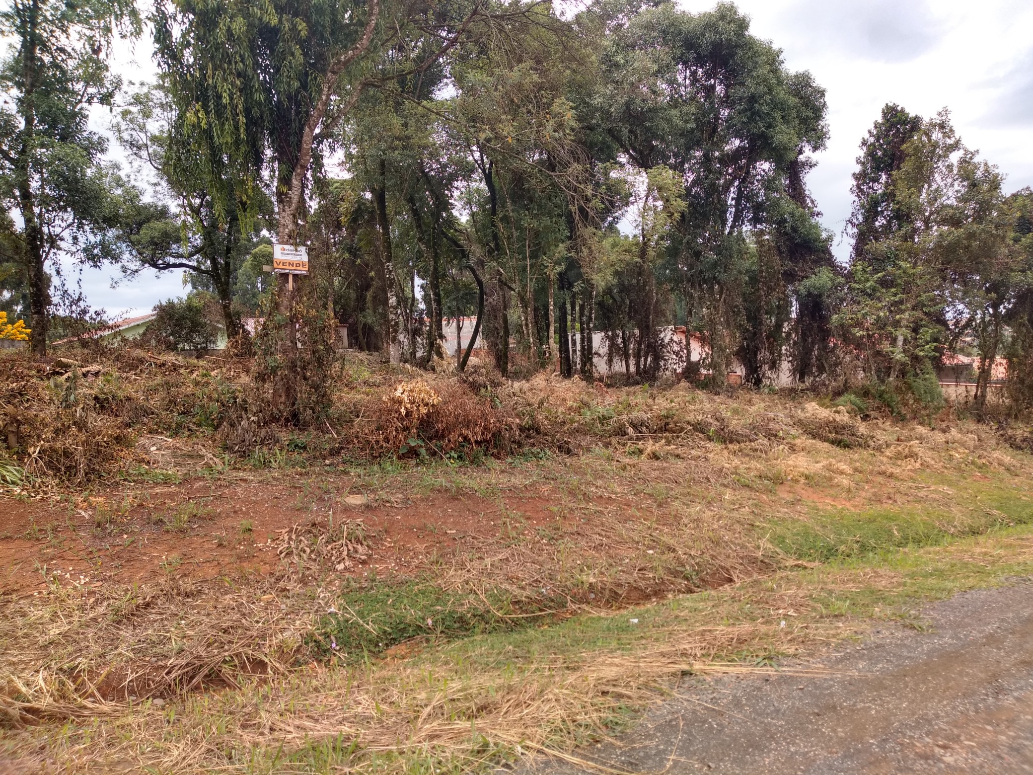 Imagem do Lotes com 426 m2 - Rua Alfredo Bach - Sossego
