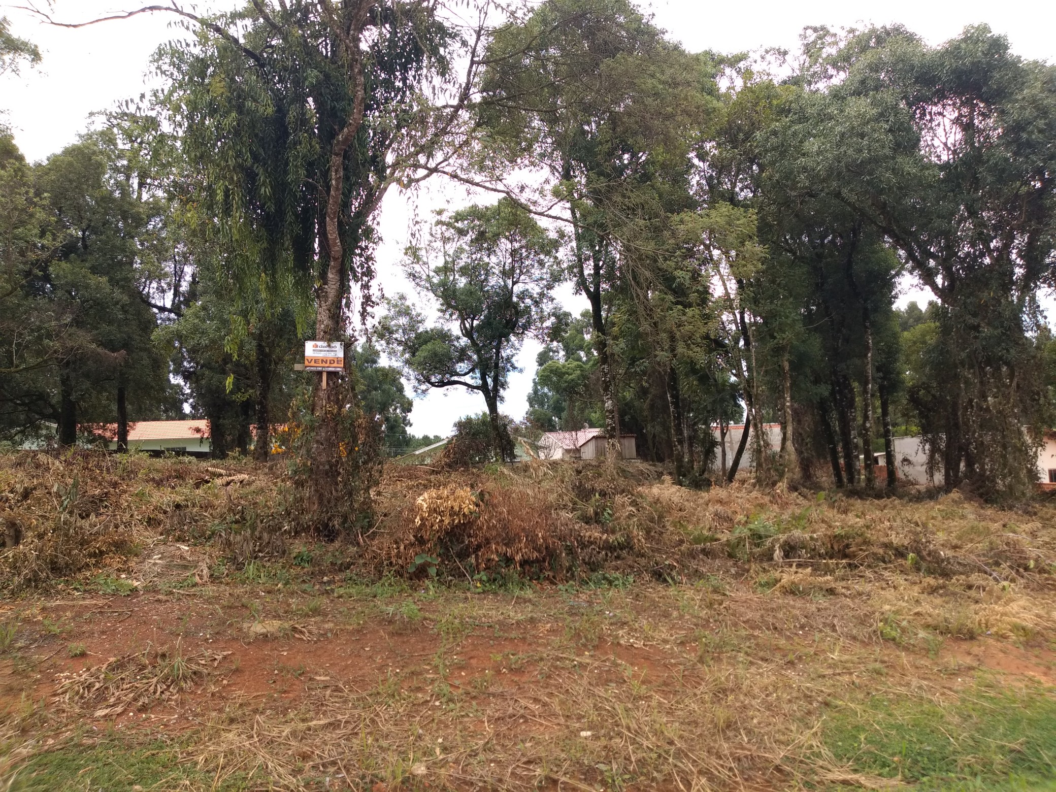 Imagem do Lotes com 426 m2 - Rua Alfredo Bach - Sossego