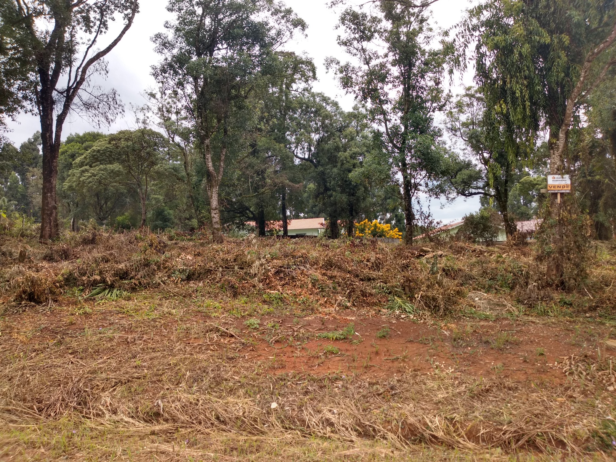 Imagem do Lotes com 426 m2 - Rua Alfredo Bach - Sossego