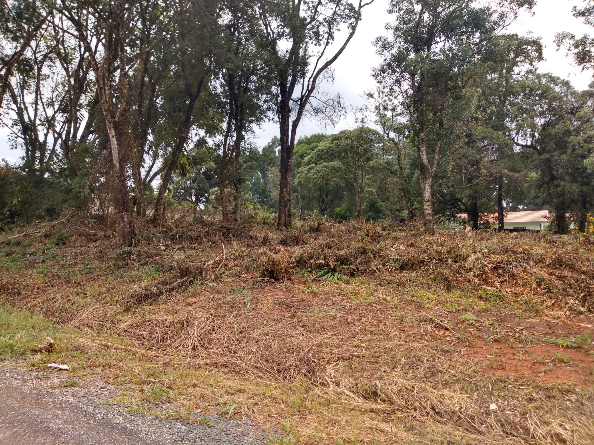 Imagem do Lotes com 426 m2 - Rua Alfredo Bach - Sossego