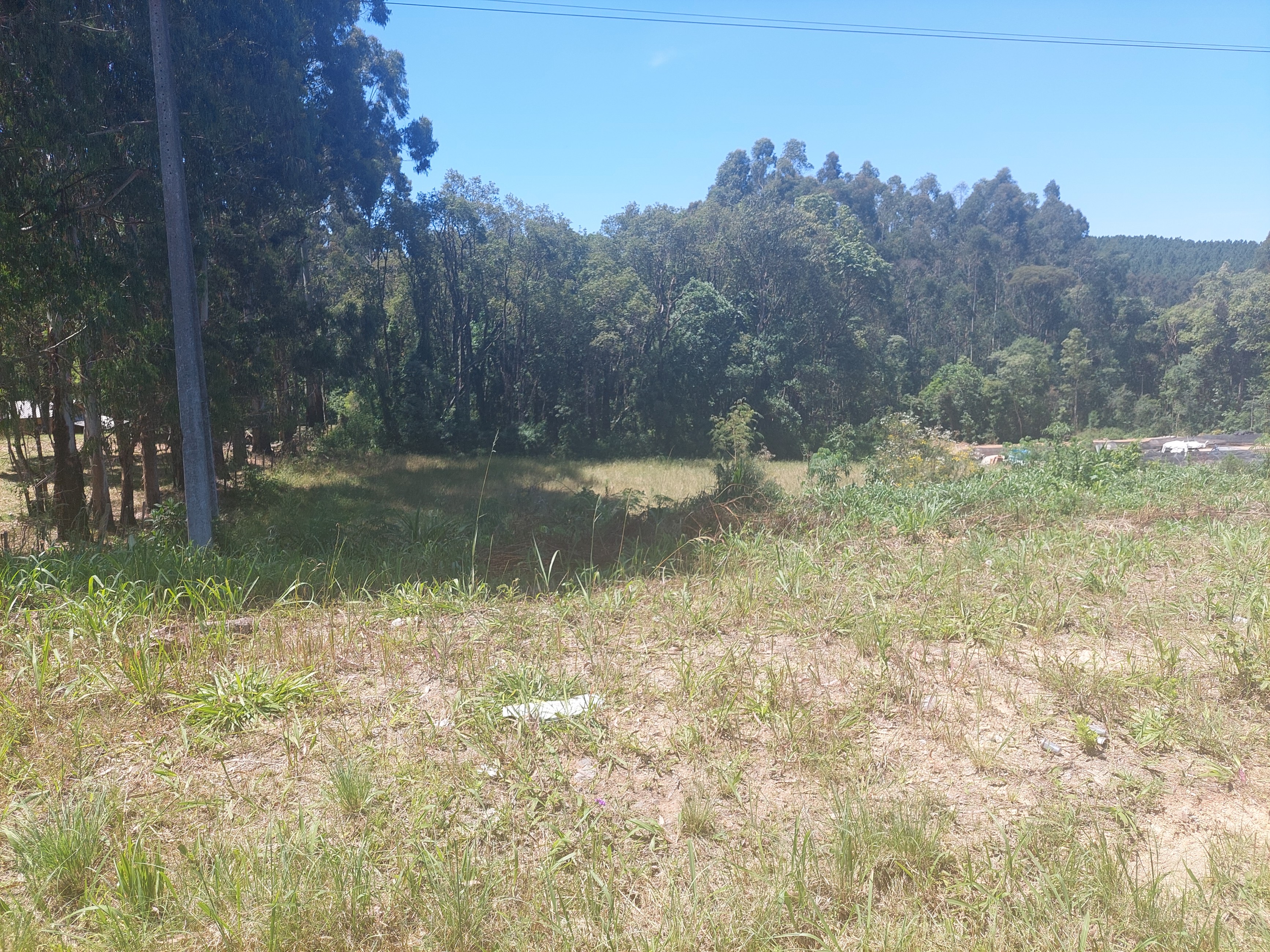Imagem do Terreno Urbano com 10.300 m2 - 60 metros de Frente para BR 280