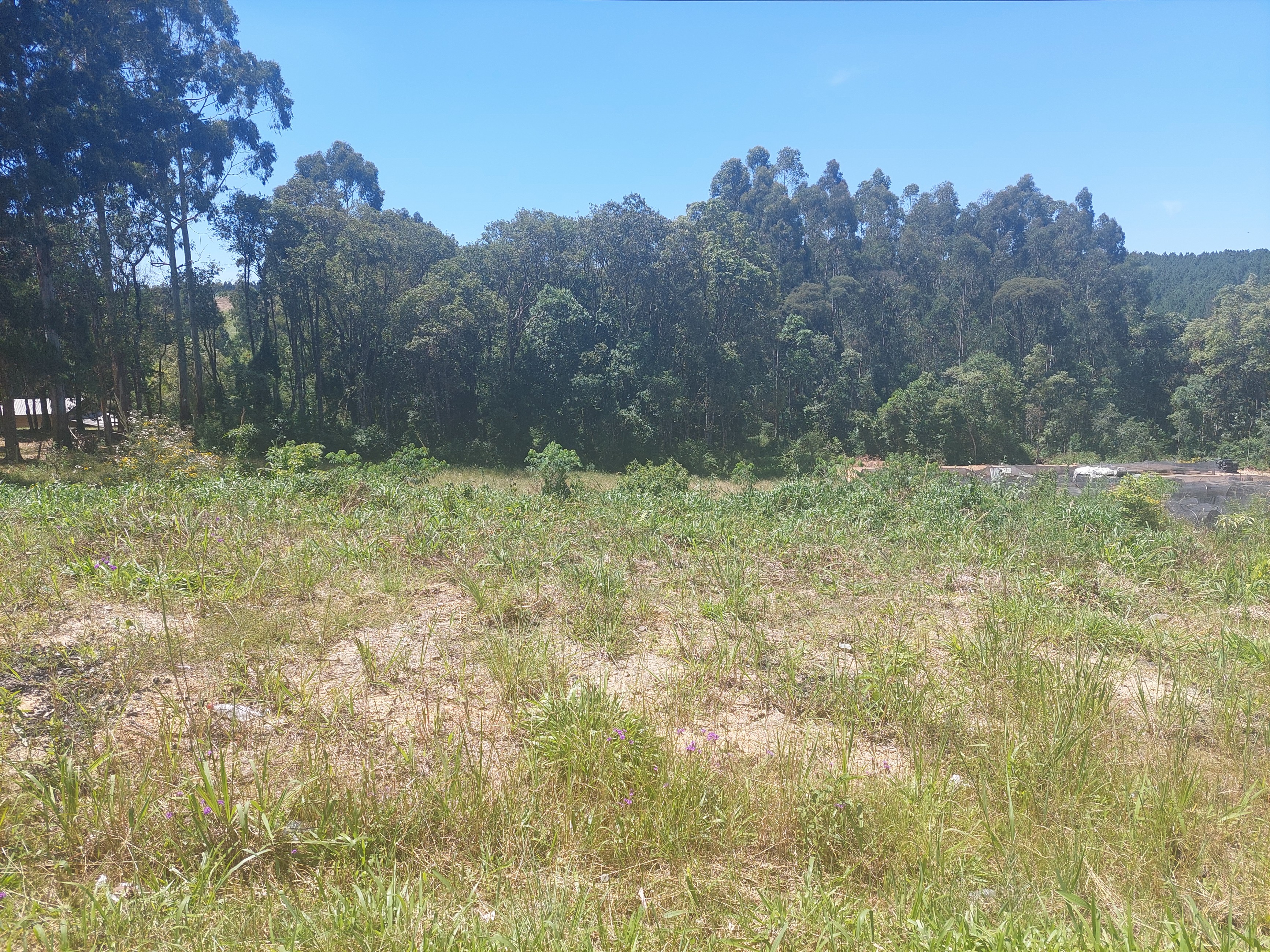 Imagem do Terreno Urbano com 10.300 m2 - 60 metros de Frente para BR 280